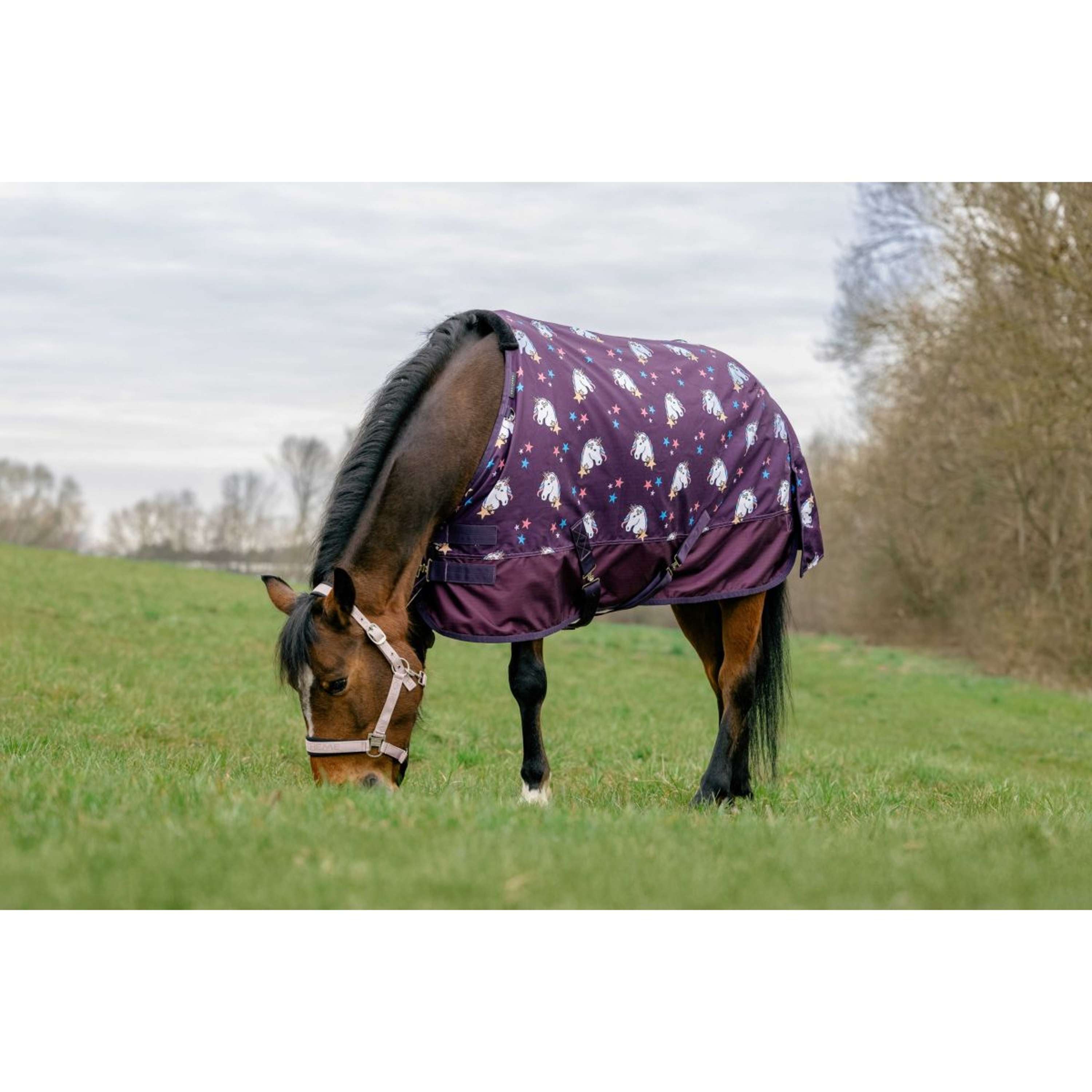 EQUITHÈME Turnout Rug Unicorn 600D 220g Plum