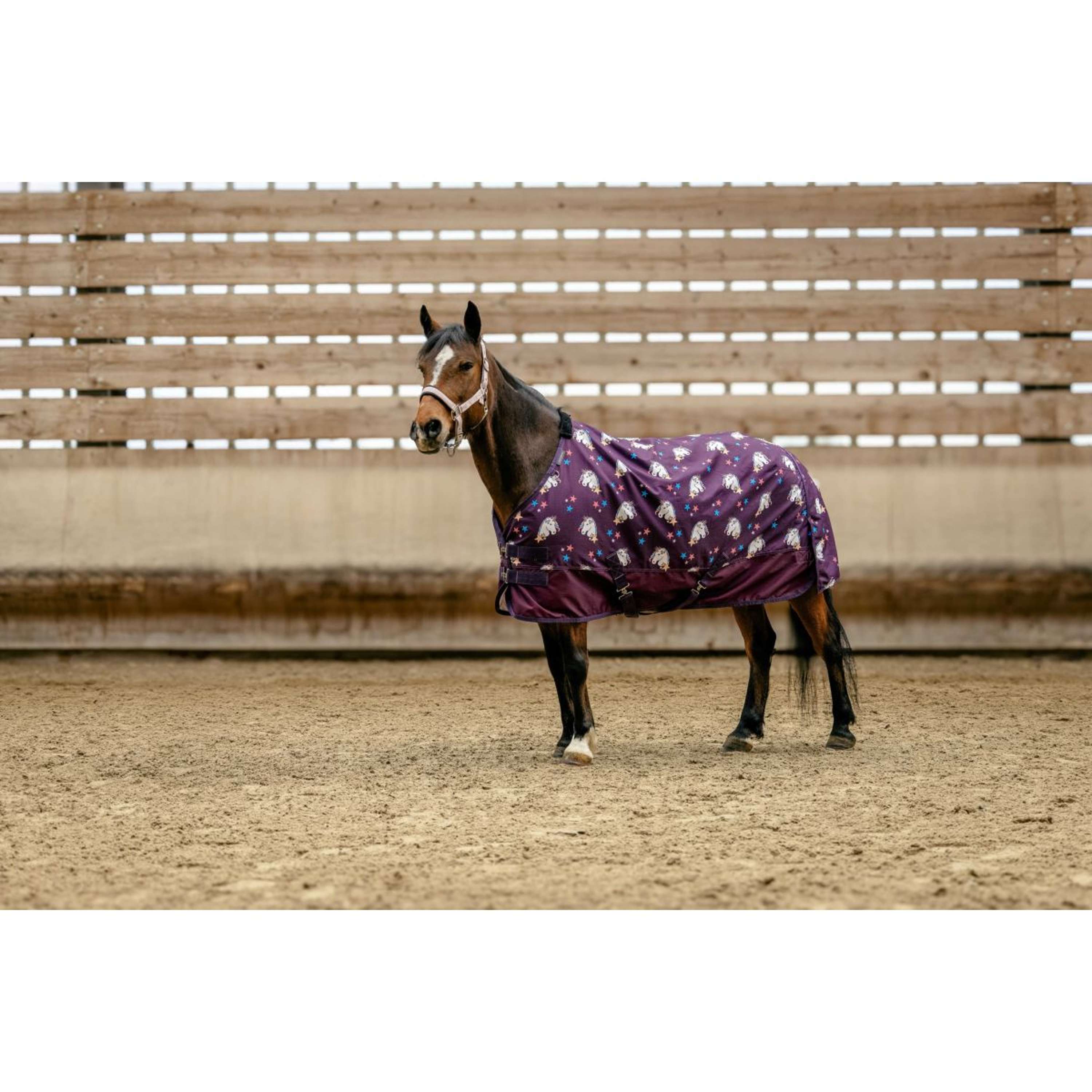 EQUITHÈME Turnout Rug Unicorn 600D 220g Plum
