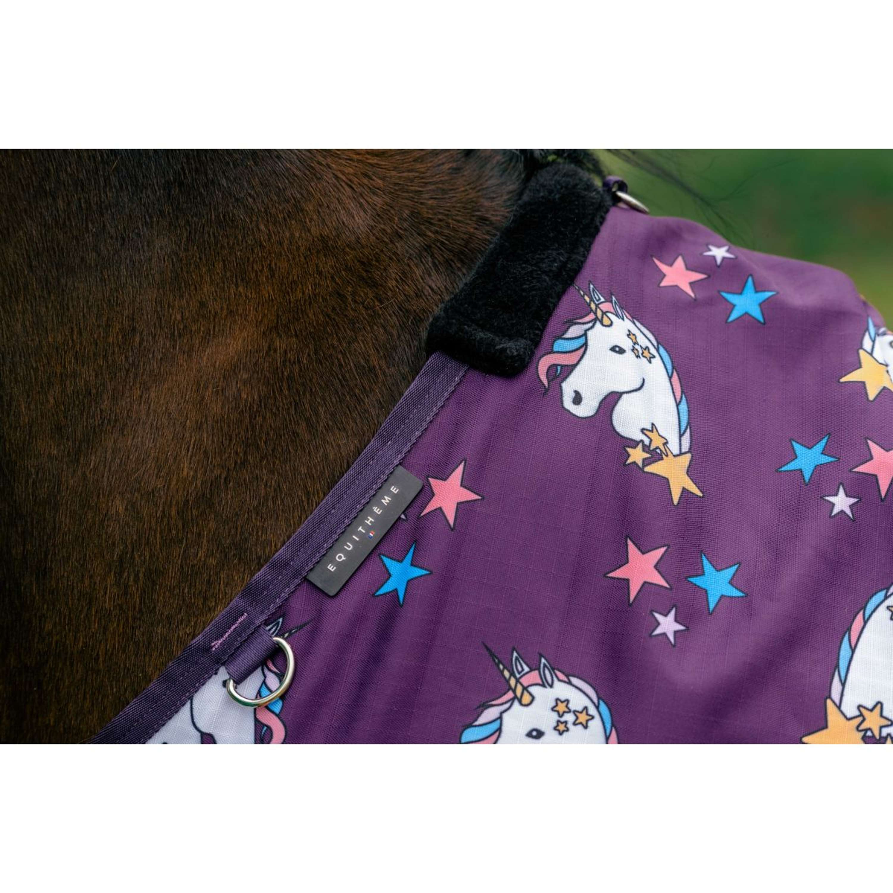 EQUITHÈME Turnout Rug Unicorn 600D 220g Plum