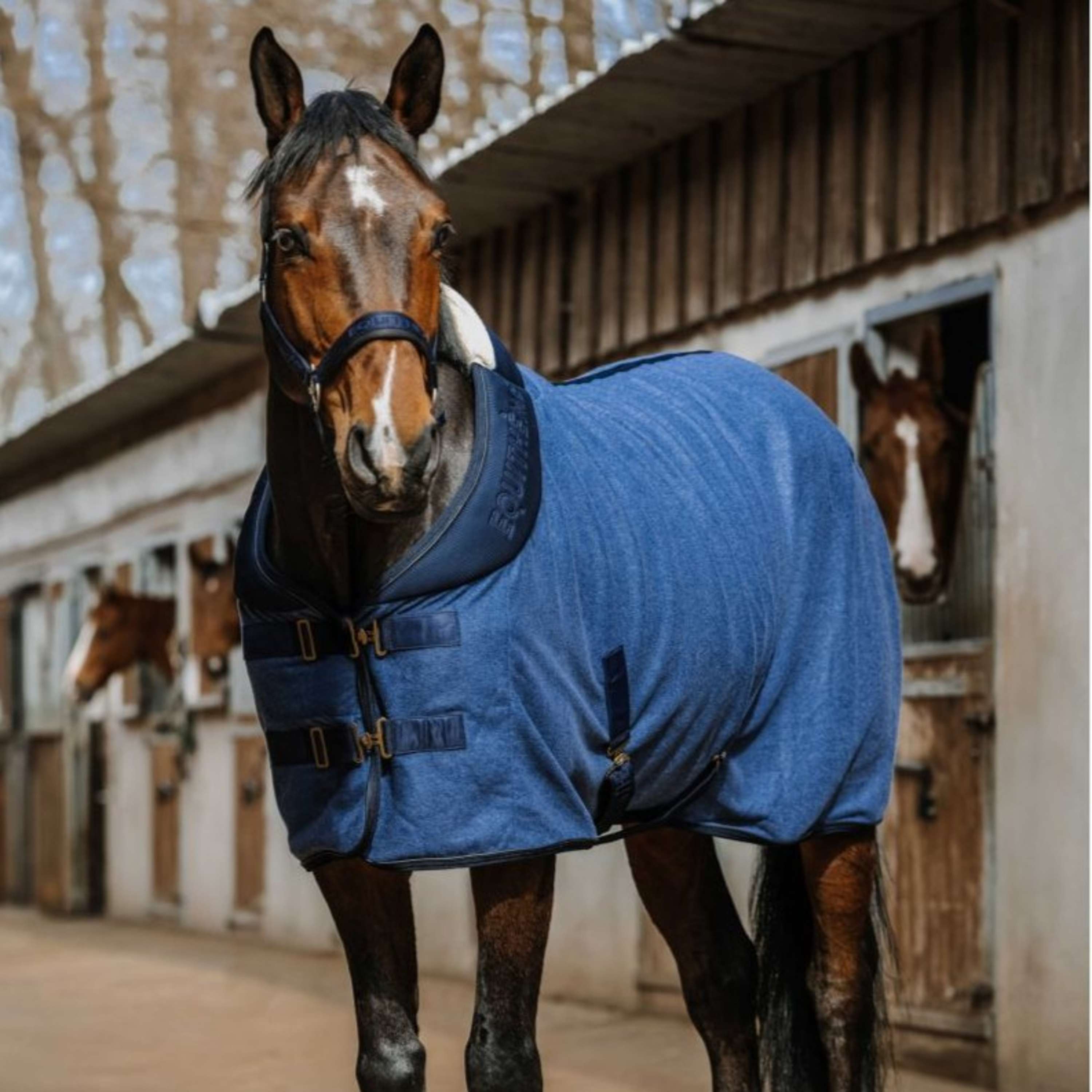 EQUITHÈME Sweat Rug Comfortech Navy