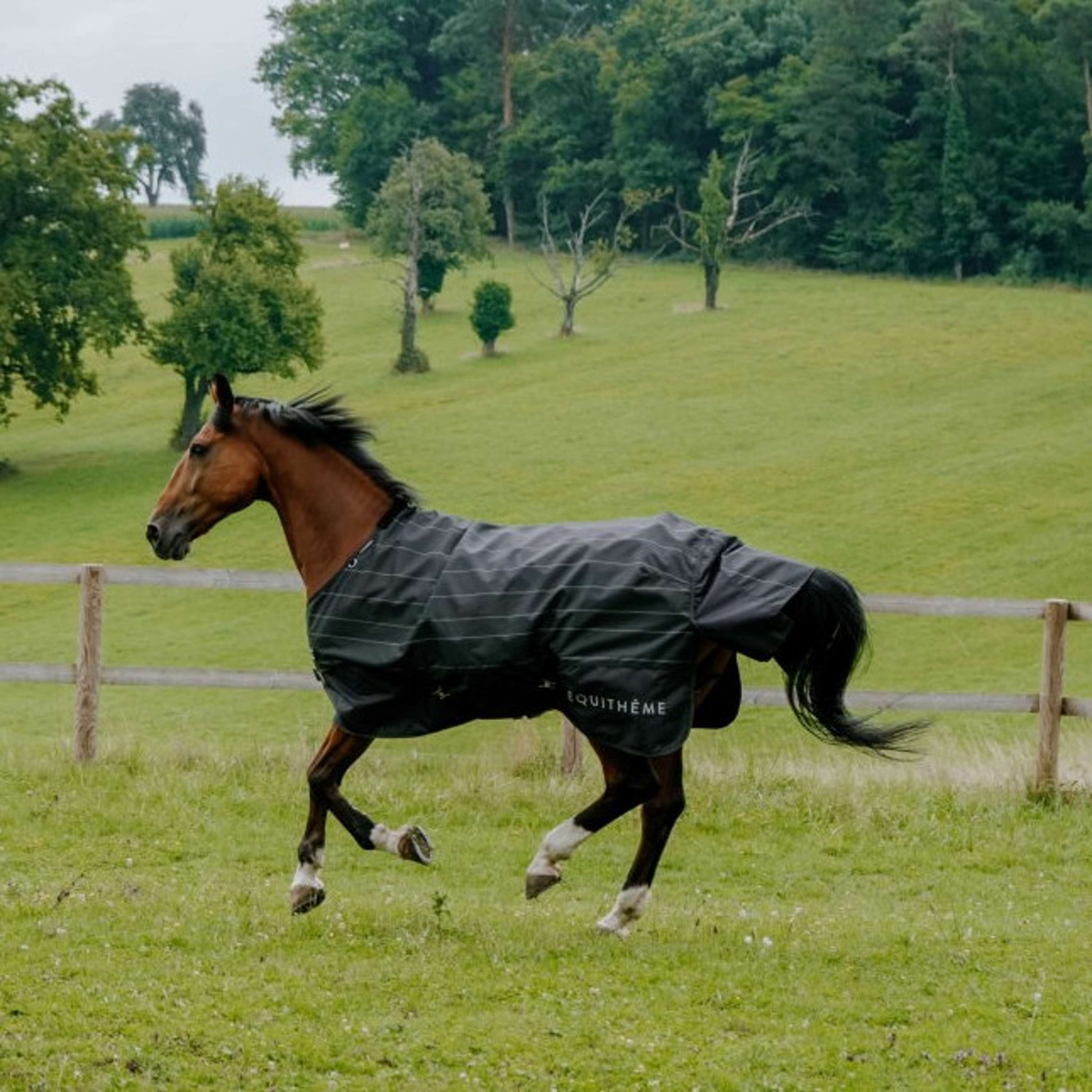 EQUITHÈME Rain Rug TYREX Lumin 600D 0g Black