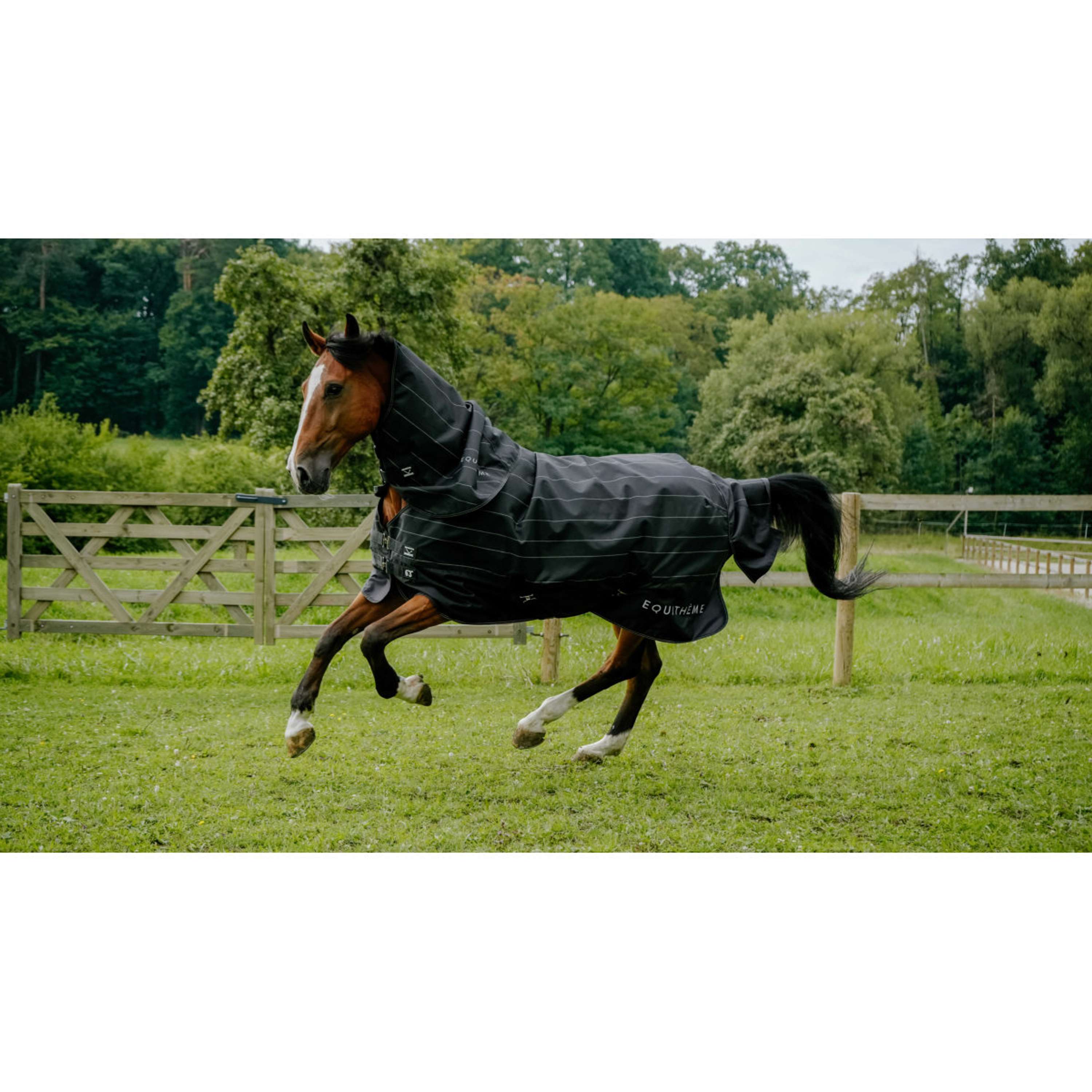 EQUITHÈME Rain Rug TYREX Lumin 600D 0g Black
