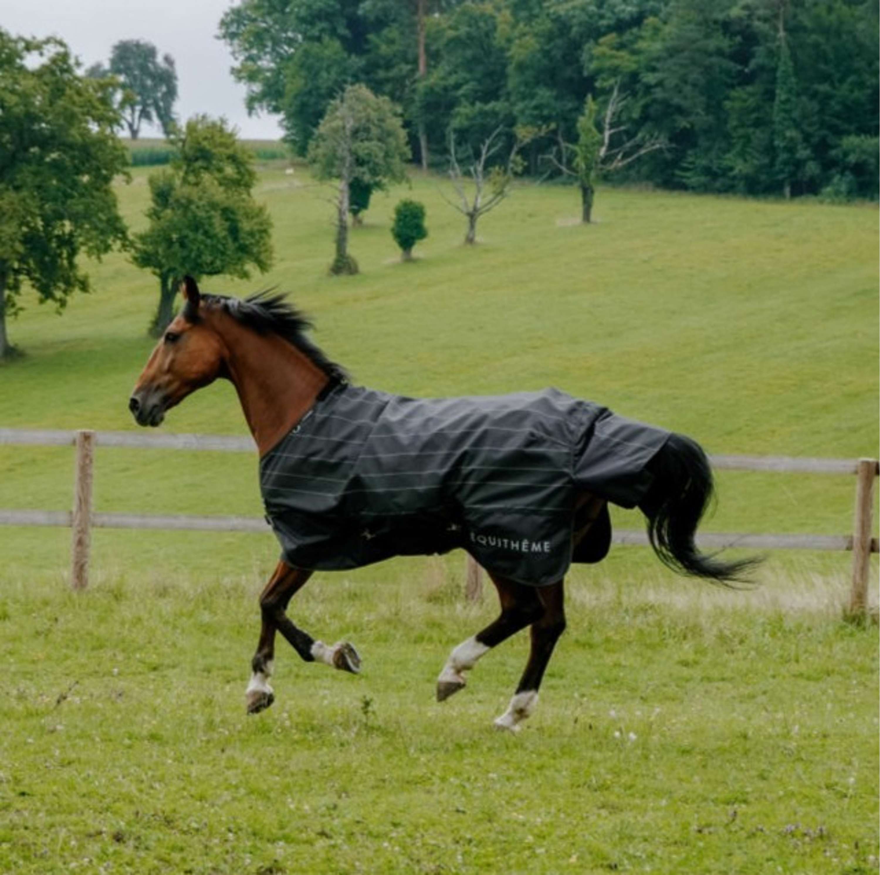 EQUITHÈME Rain Rug Lumin 600D 50g Black