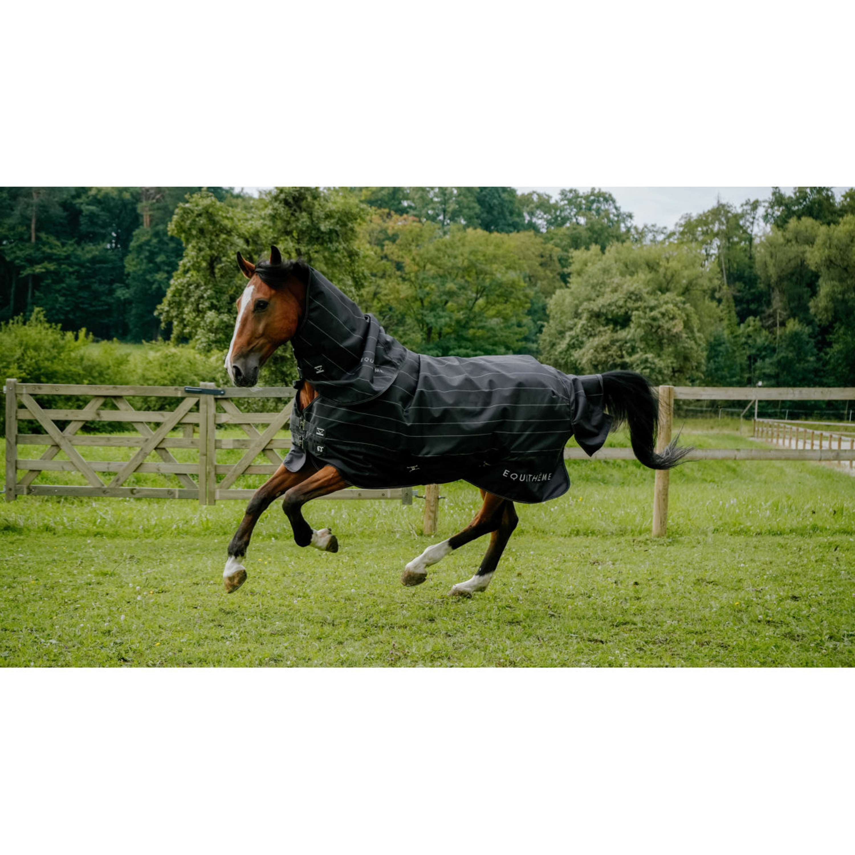 EQUITHÈME Rain Rug Lumin 600D 50g Black