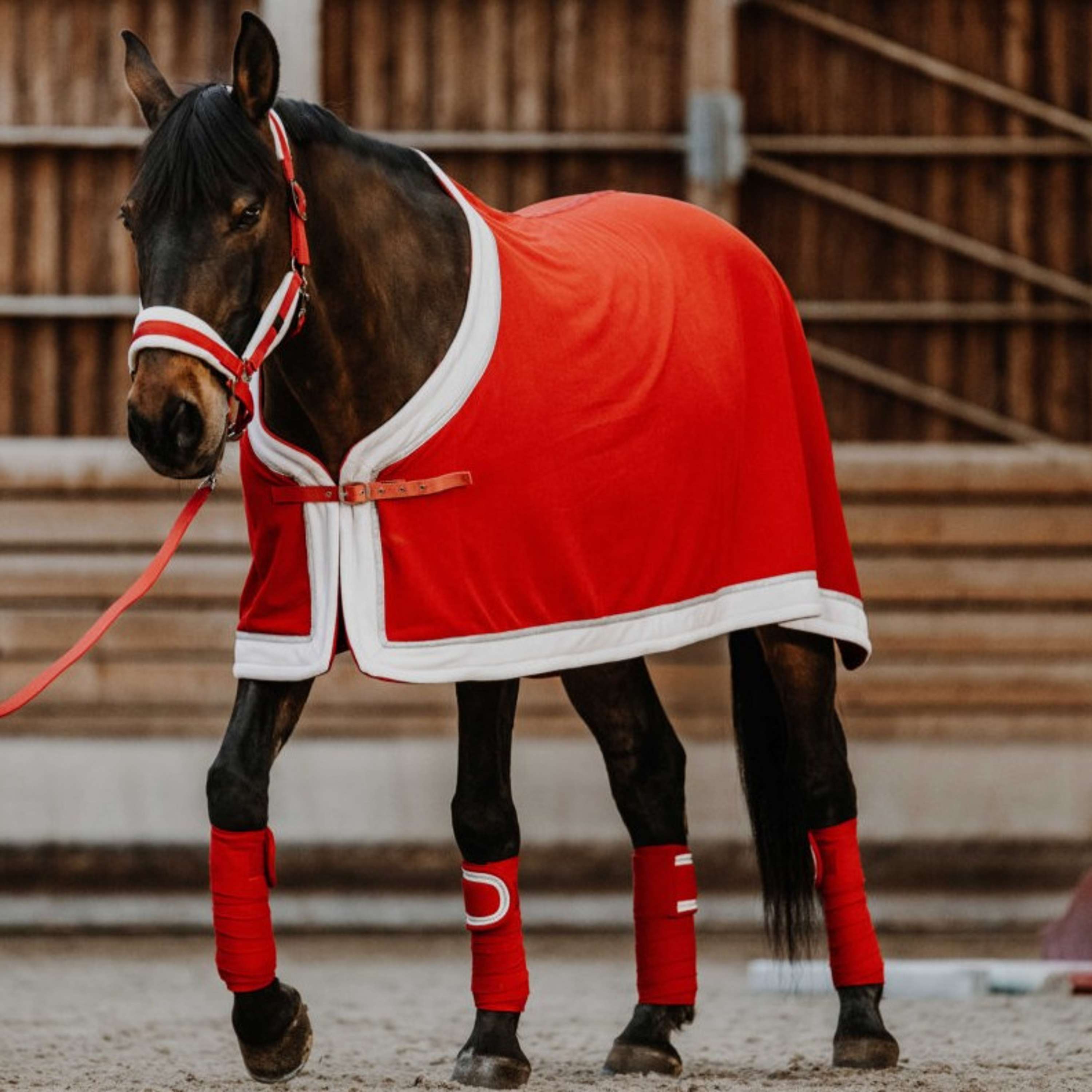 EQUITHÈME Sweat Rug Christmas Fleece Red