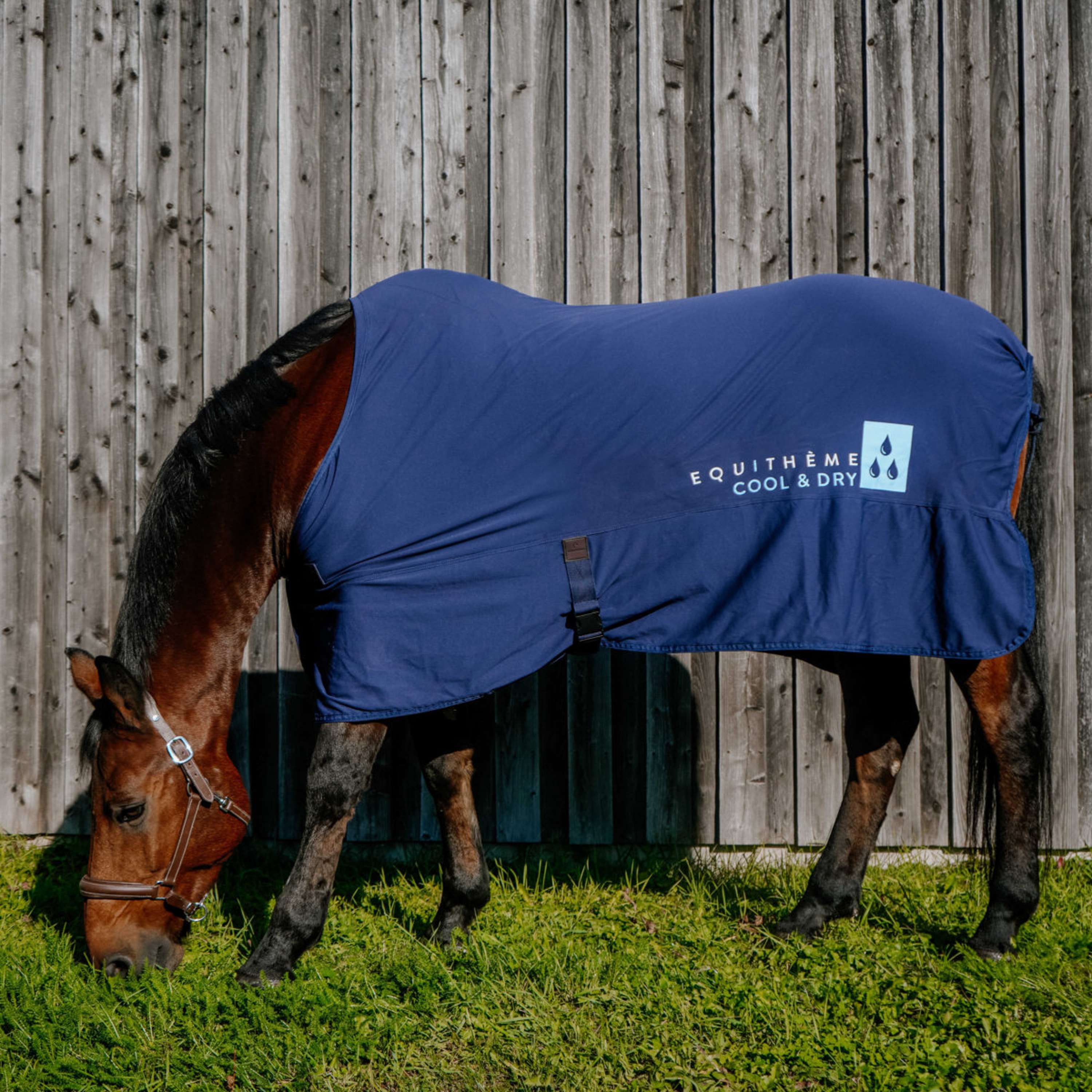 EQUITHÈME Cooling Blanket Cool& Dry Fresh NavyBlue