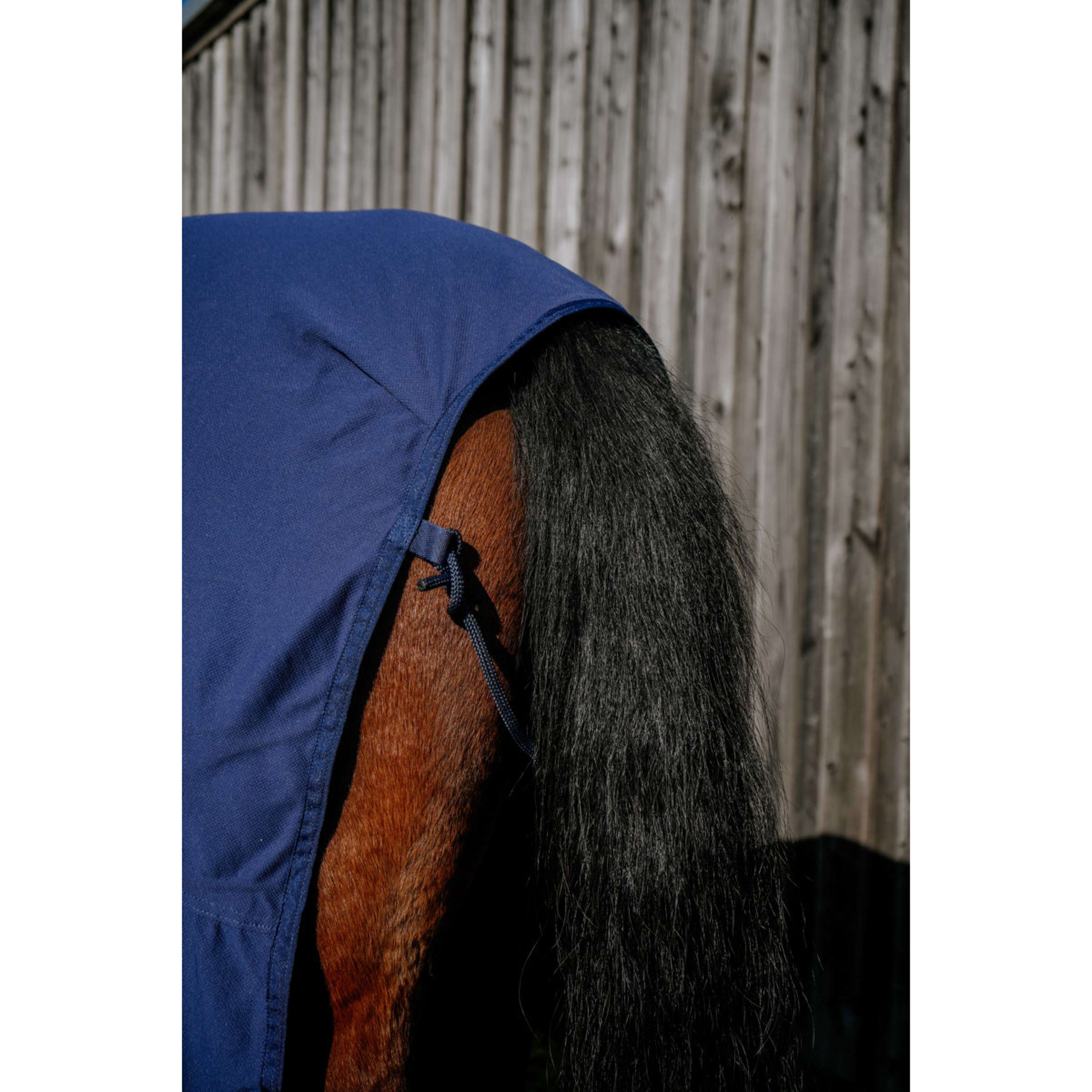 EQUITHÈME Cooling Blanket Cool& Dry Fresh NavyBlue