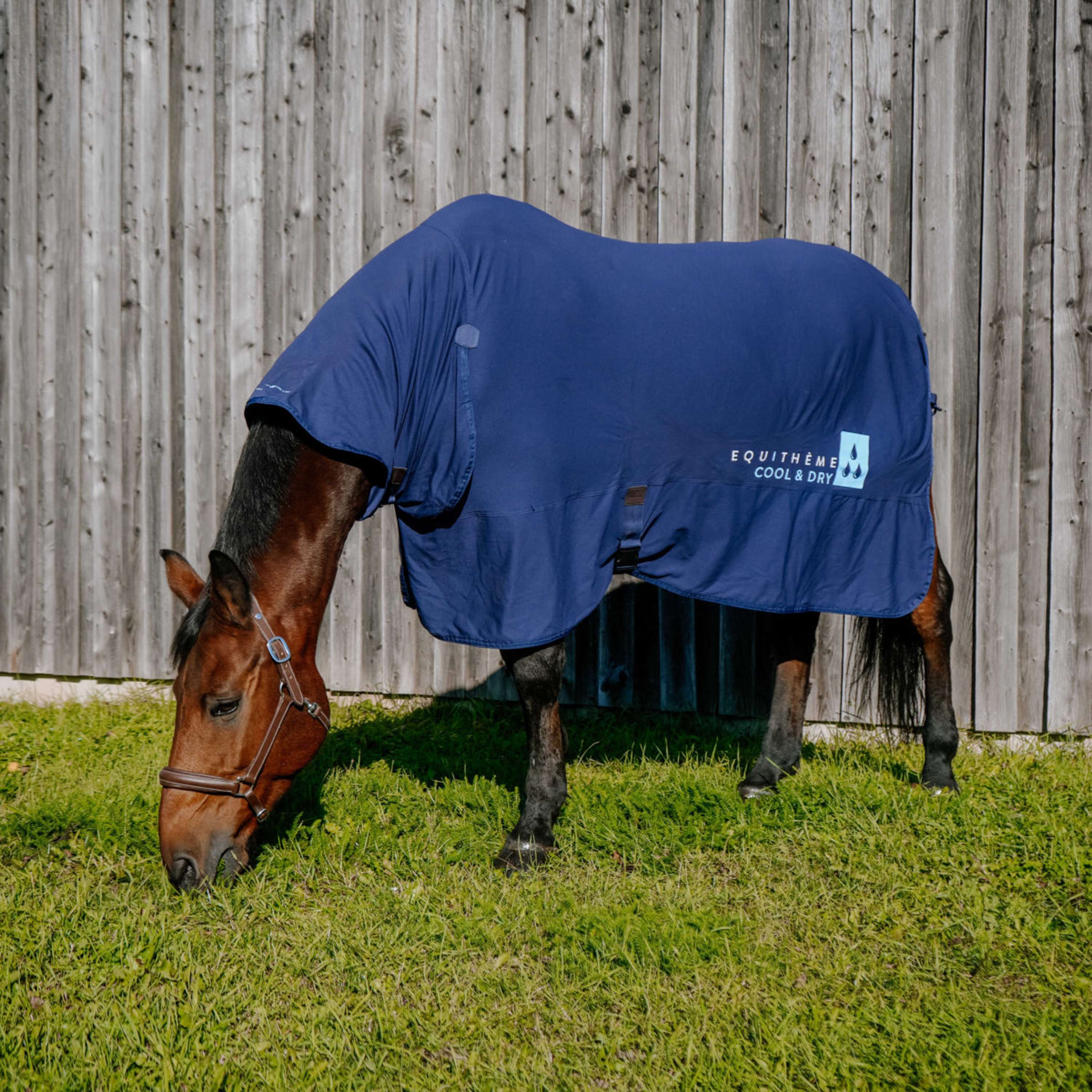 EQUITHÈME Cooling Blanket Cool& Dry Fresh Combo NavyBlue