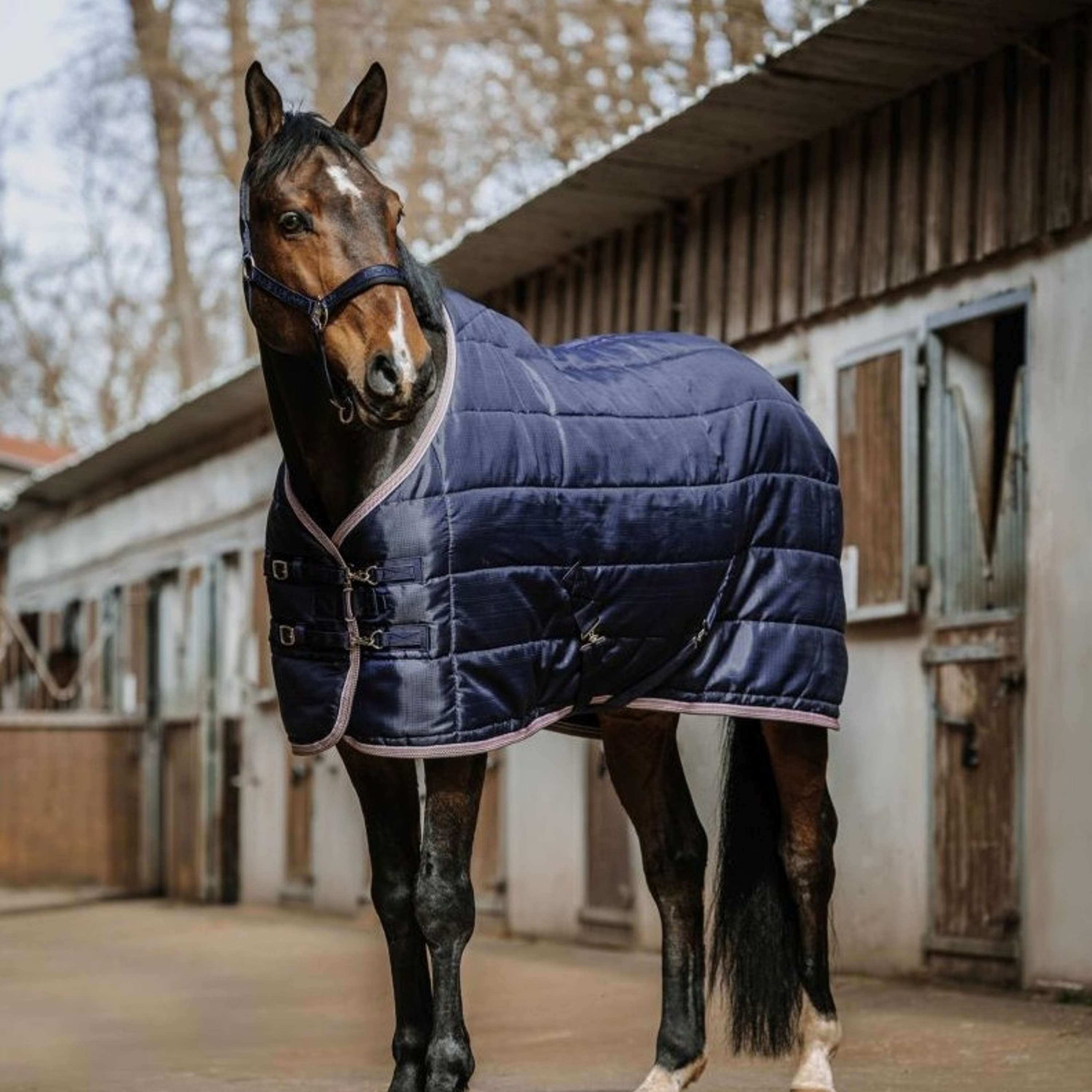 EQUITHÈME Stable Rug Aztec 50gr Navy