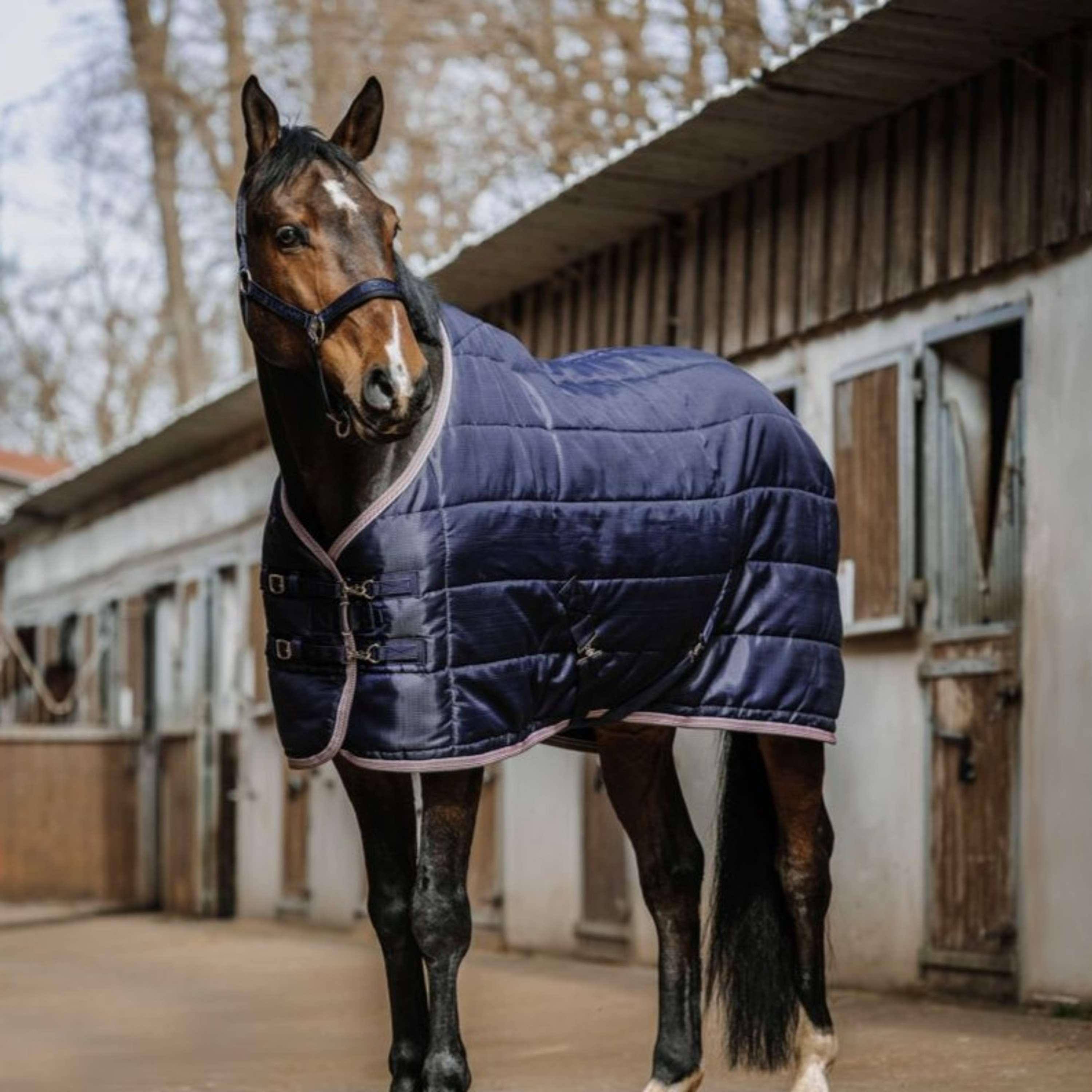 EQUITHÈME Stable Rug Aztec 200gr Navy