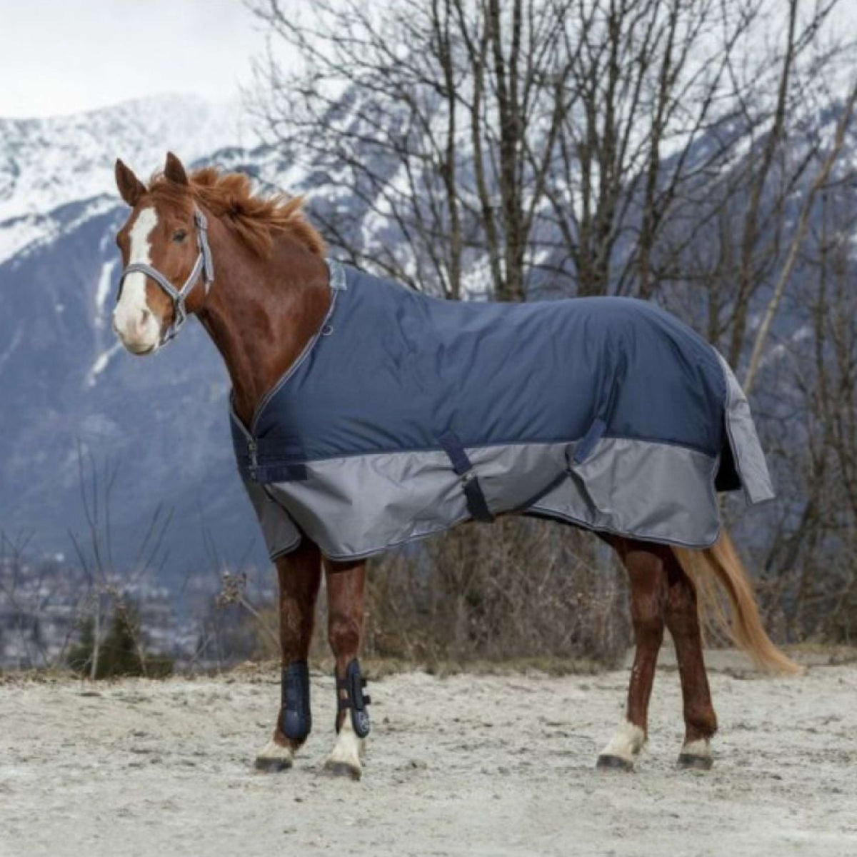 EQUITHÈME Rain Rug Tyrex 600D 50g Navy/Grey Dots