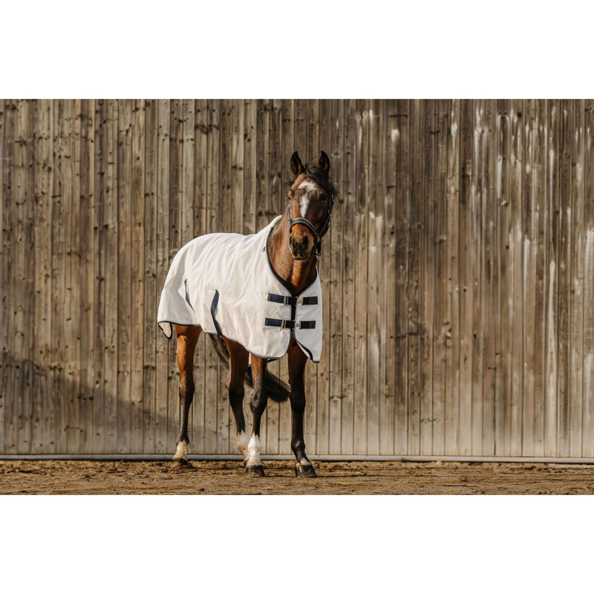 EQUITHÈME Summer Rug UV-Resistant White