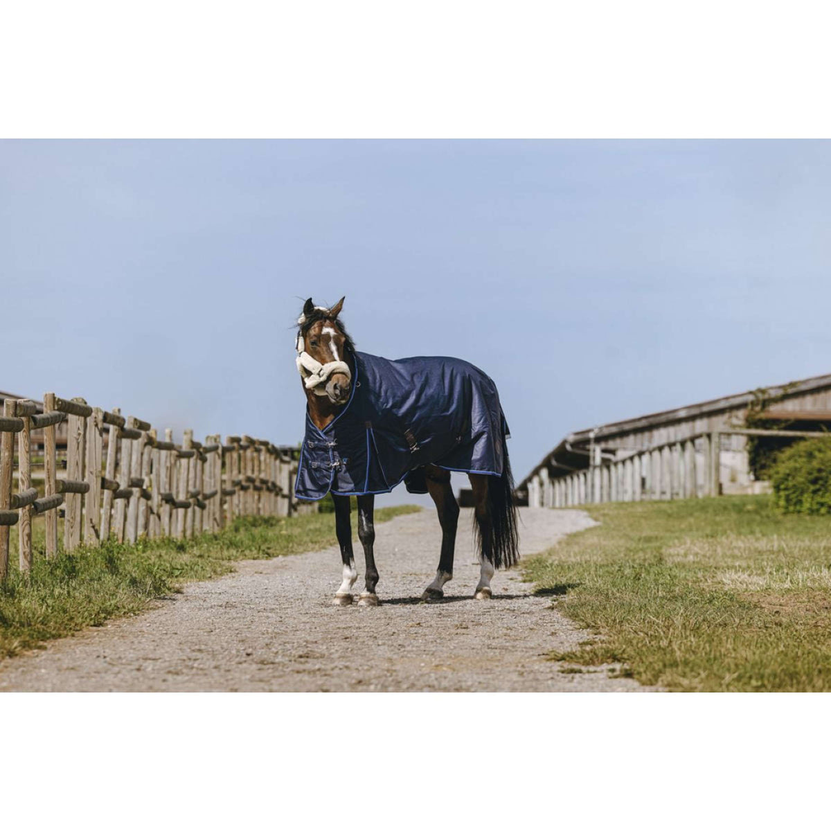 EQUITHÈME Outdoor Rug Classic 1200D High Neck 50g Navy