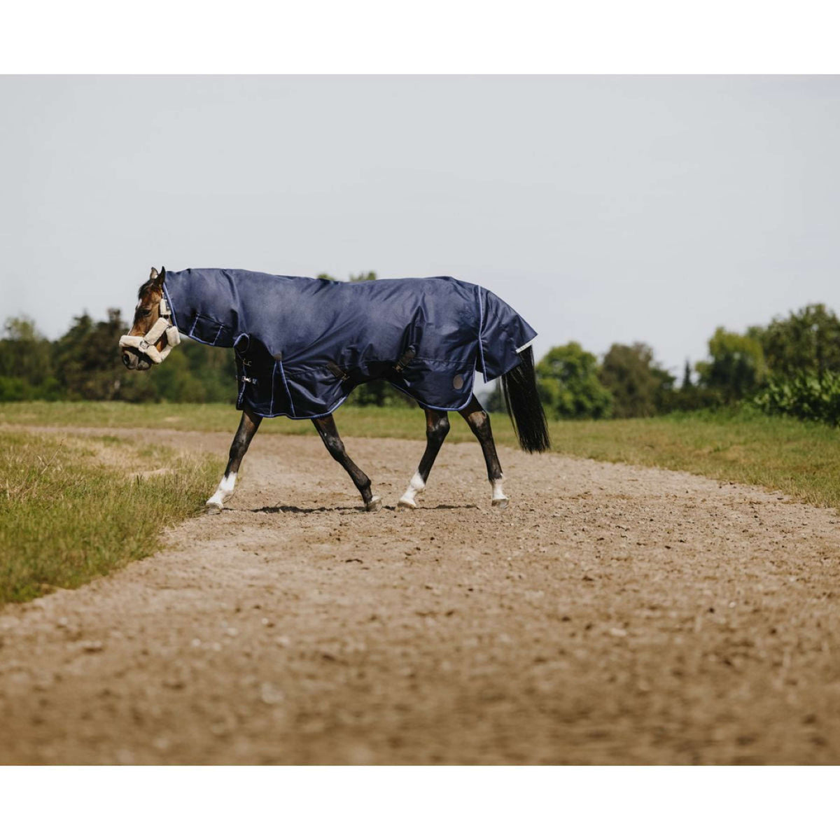 EQUITHÈME Outdoor Rug Classic 1200D Combo 300g Navy