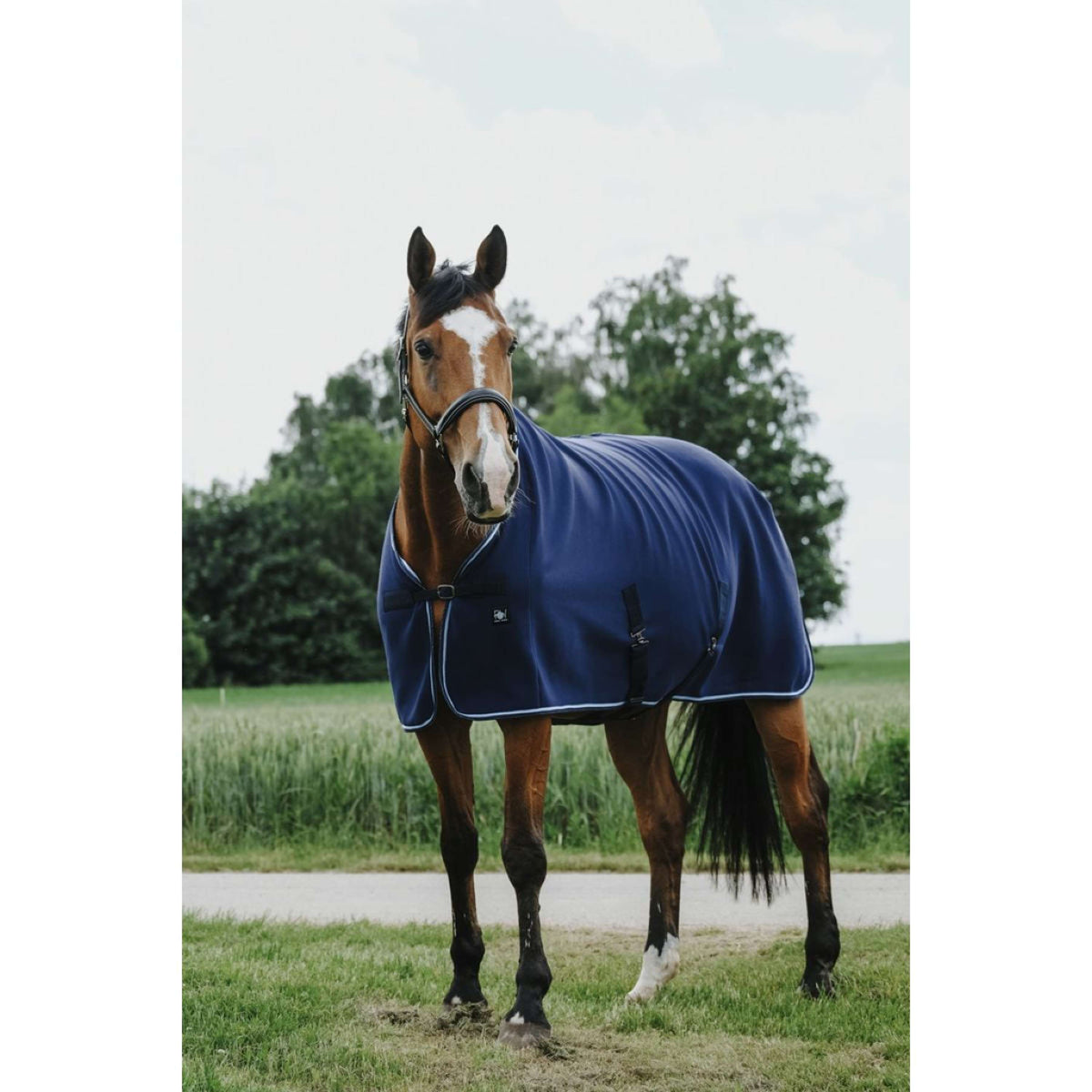 Riding World Sweat Rug Navy