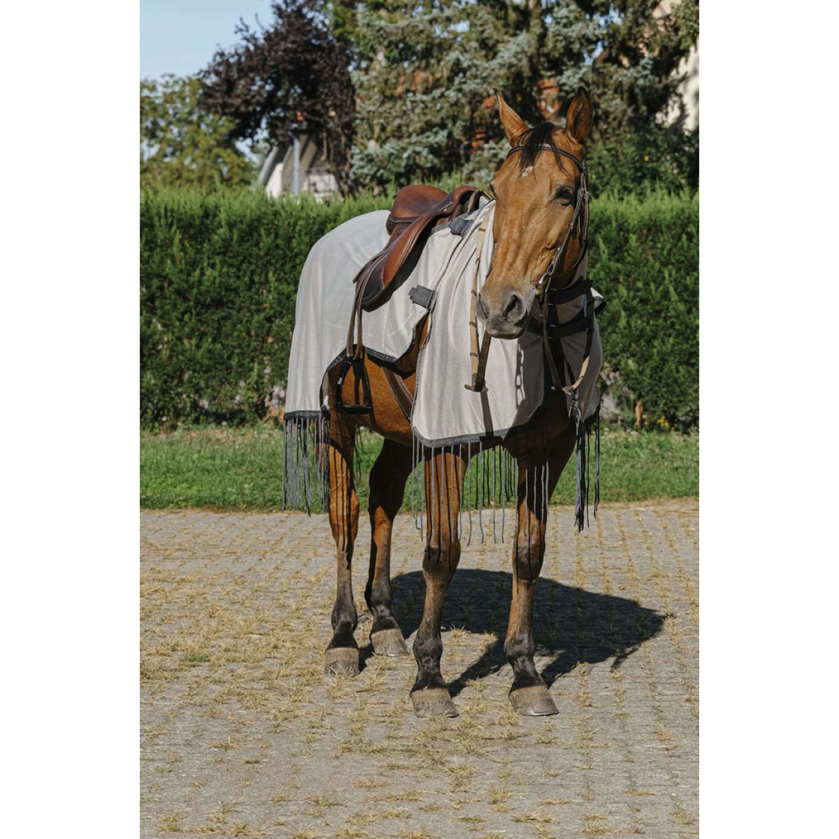 Riding World Anti-fly Riding Rug Mesh Grey