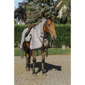 Riding World Anti-fly Riding Rug Mesh Grey