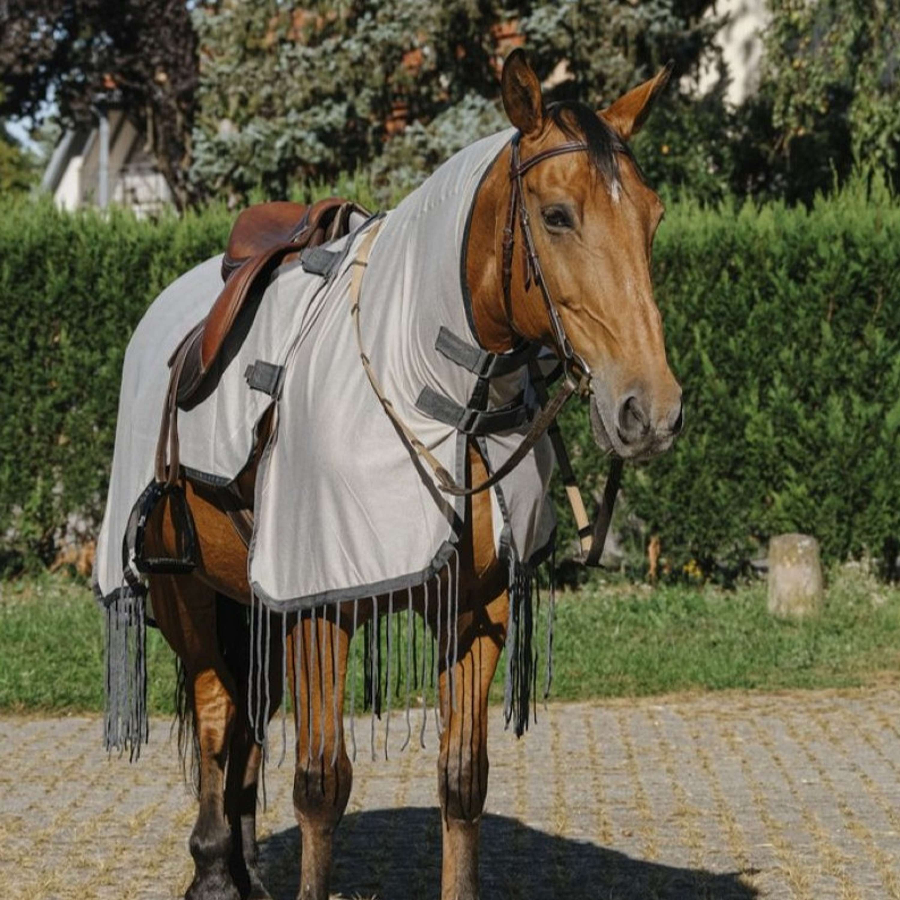 Riding World Anti-fly Riding Rug Mesh Grey