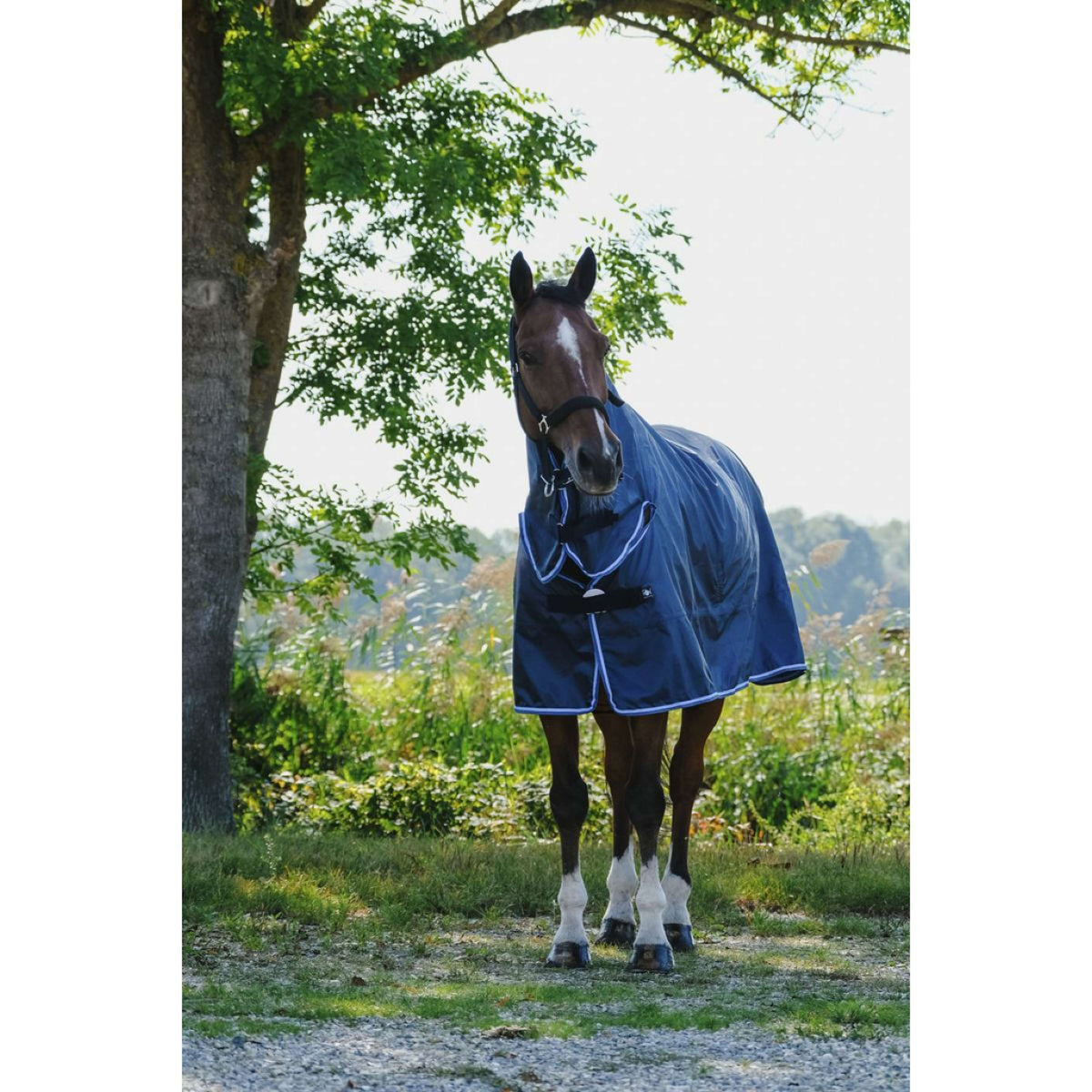 Riding World Rain Rug Combo Navy