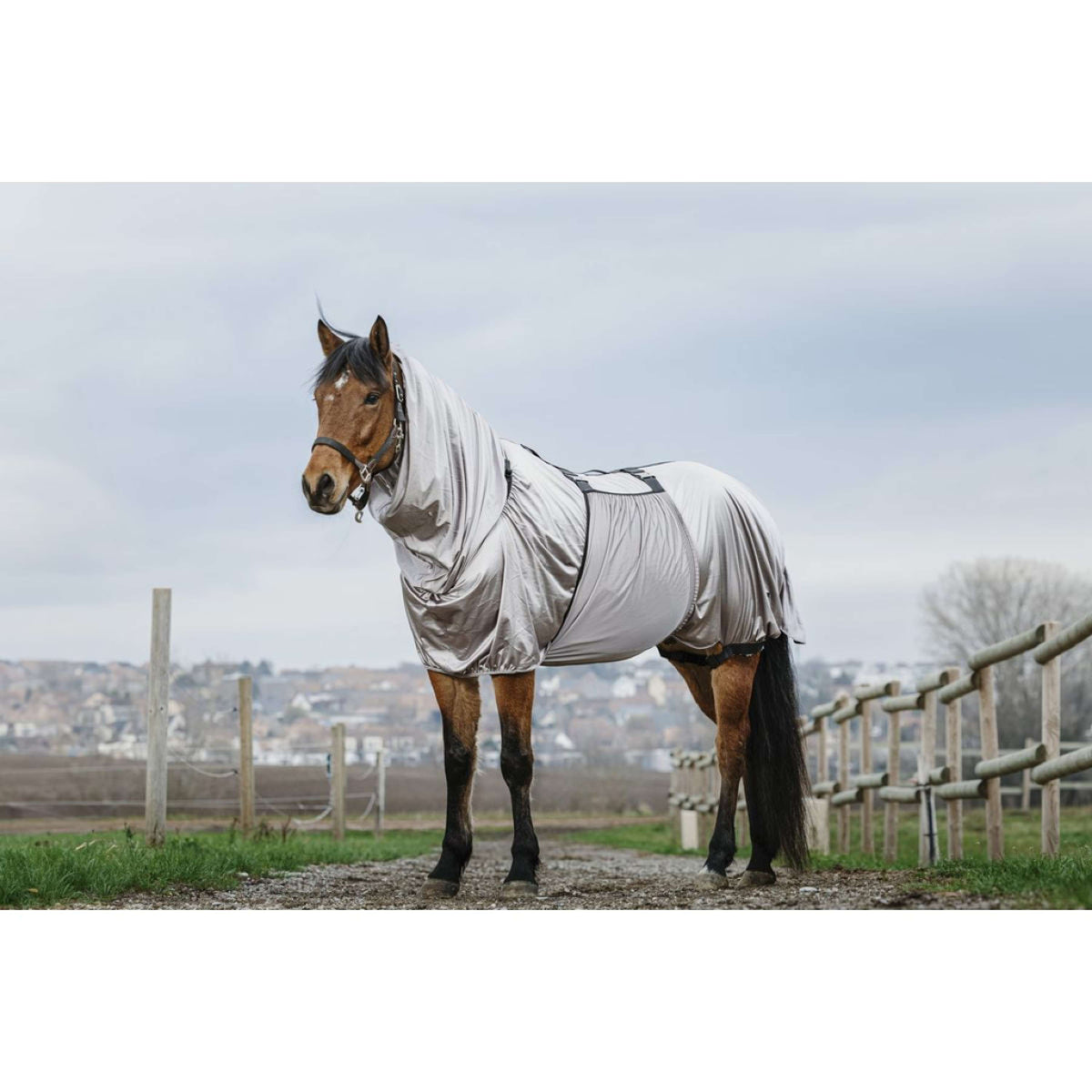 Riding World Eczema Rug Grey