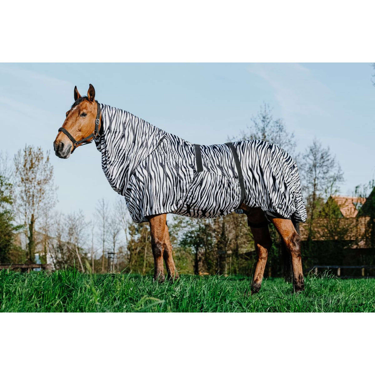 Riding World Eczema Rug Zebra