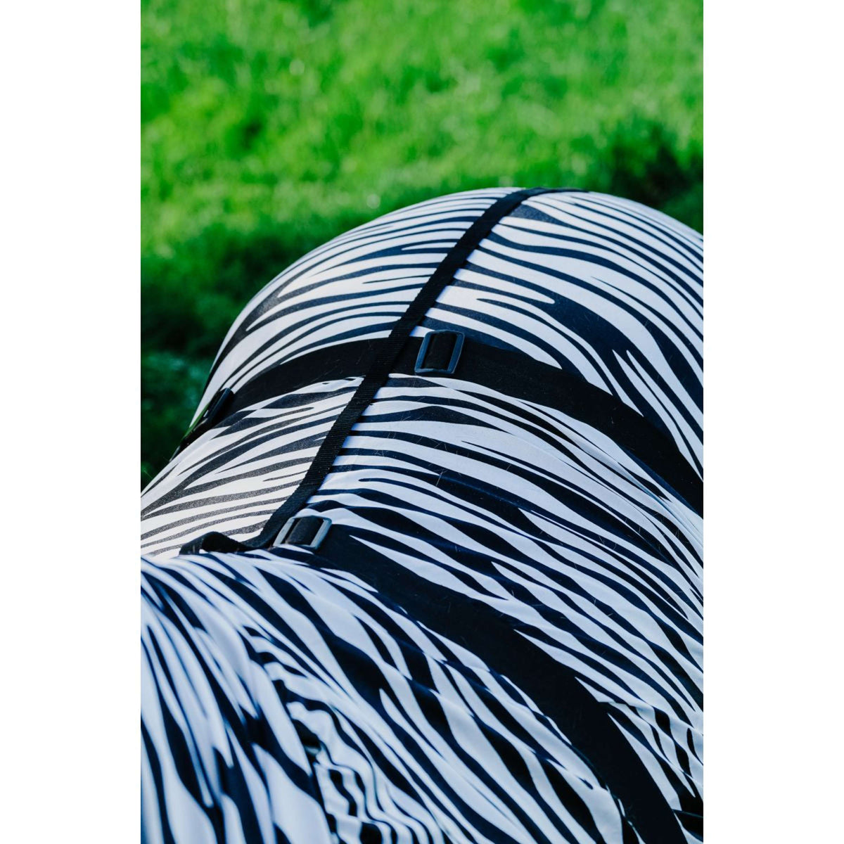 Riding World Eczema Rug Zebra