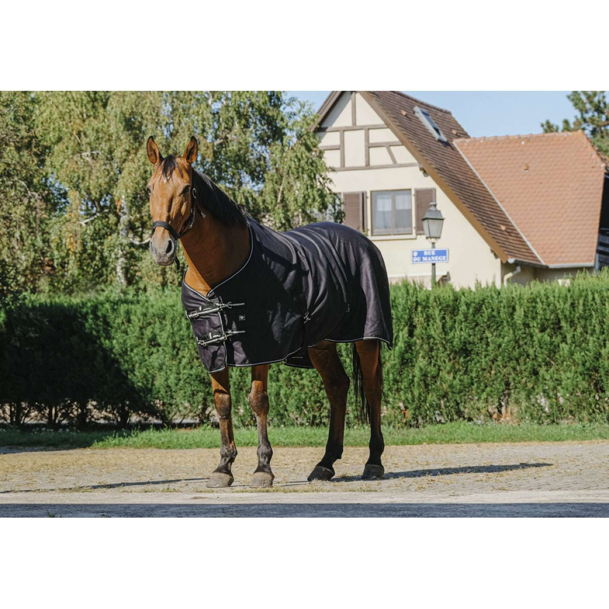 Riding World Summer Rug Brillante Black