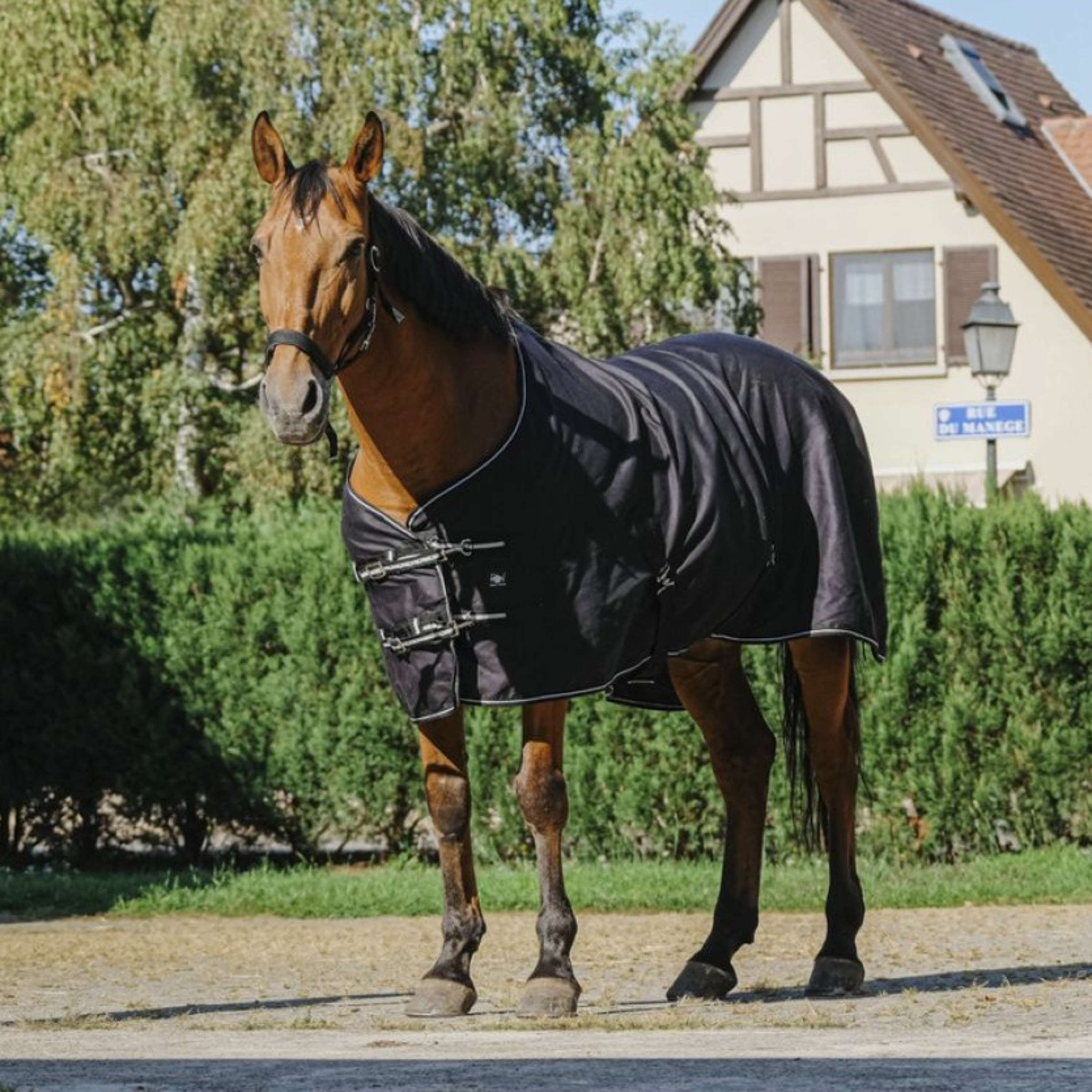 Riding World Summer Rug Brillante Black