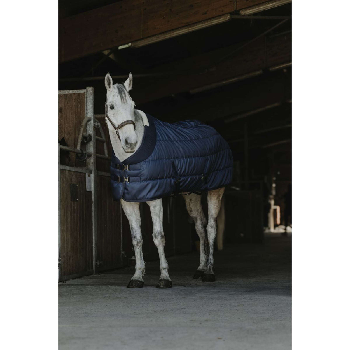 EQUITHÈME Stable Rug Comfortech 200g Navy