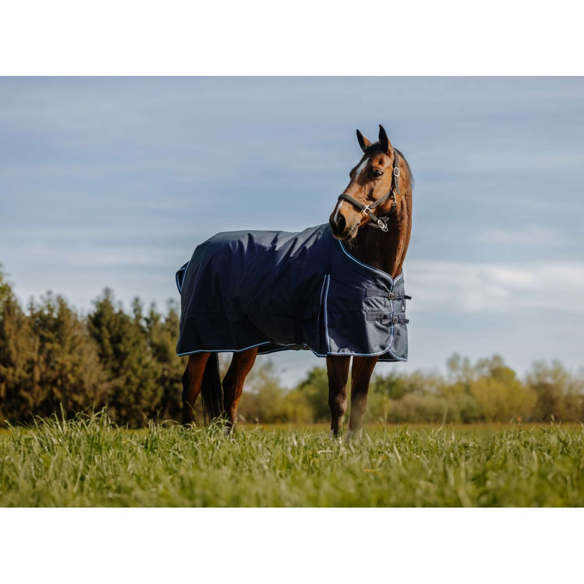 Riding World Outdoor Rug Eco 600D 220g Navy