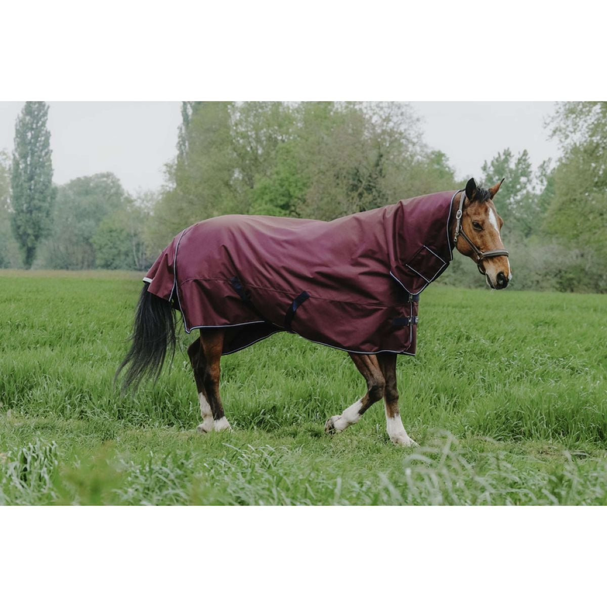 EQUITHÈME Outdoor Rug Tyrex 1200D 350g Combo Burgundy