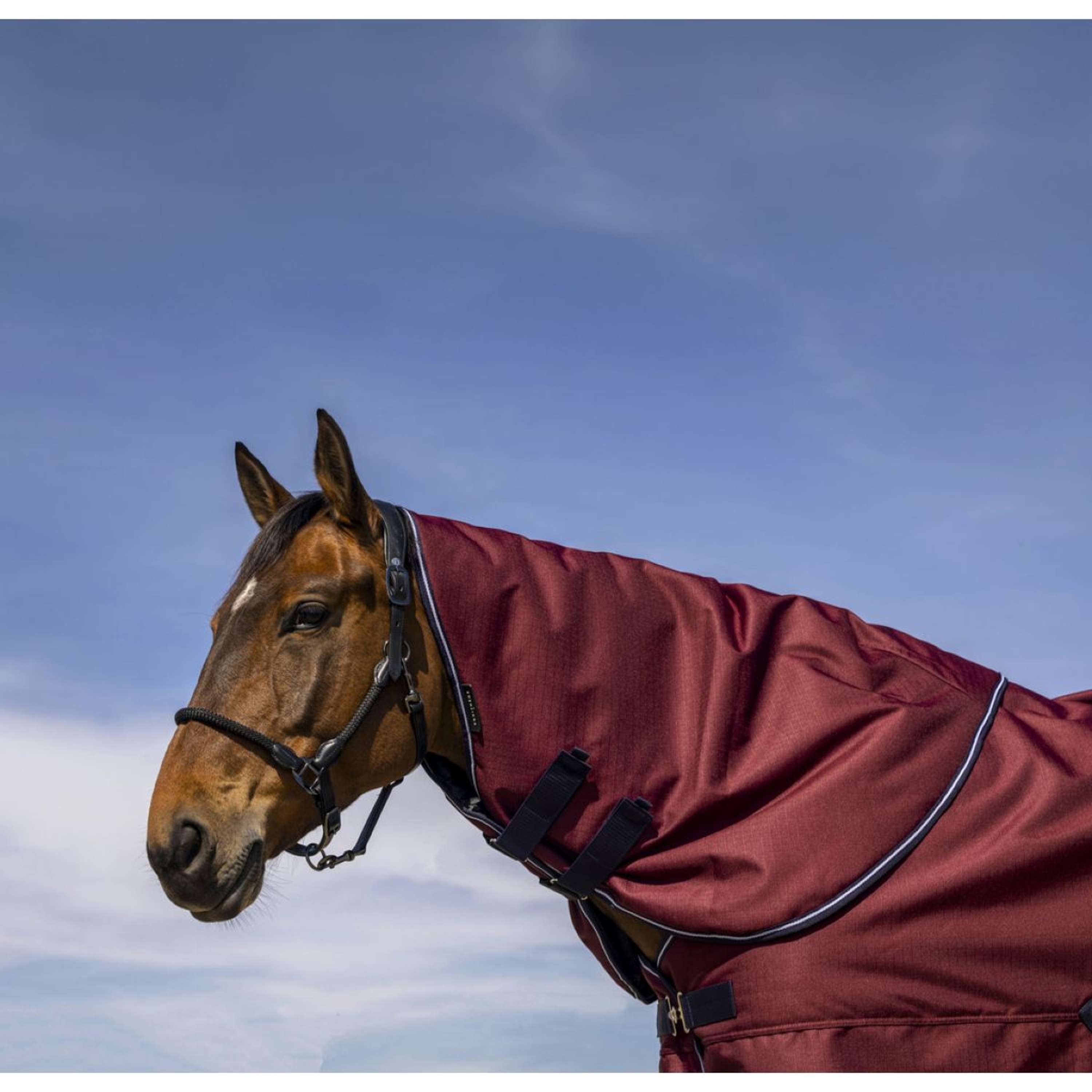 EQUITHÈME Neck Cover Tyrex 1200D 0g Burgundy