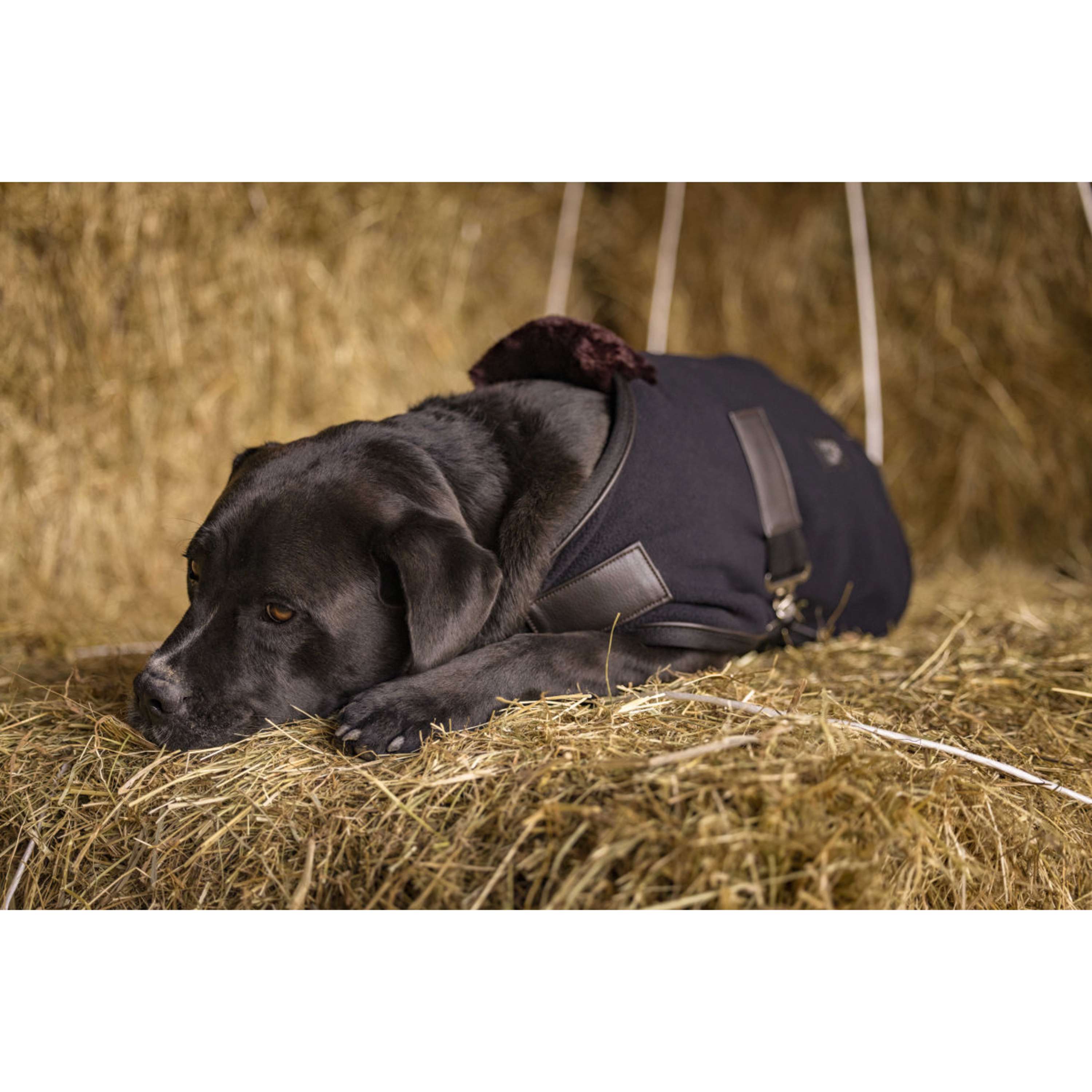 Diego & Louna Dog Rug Polar Black