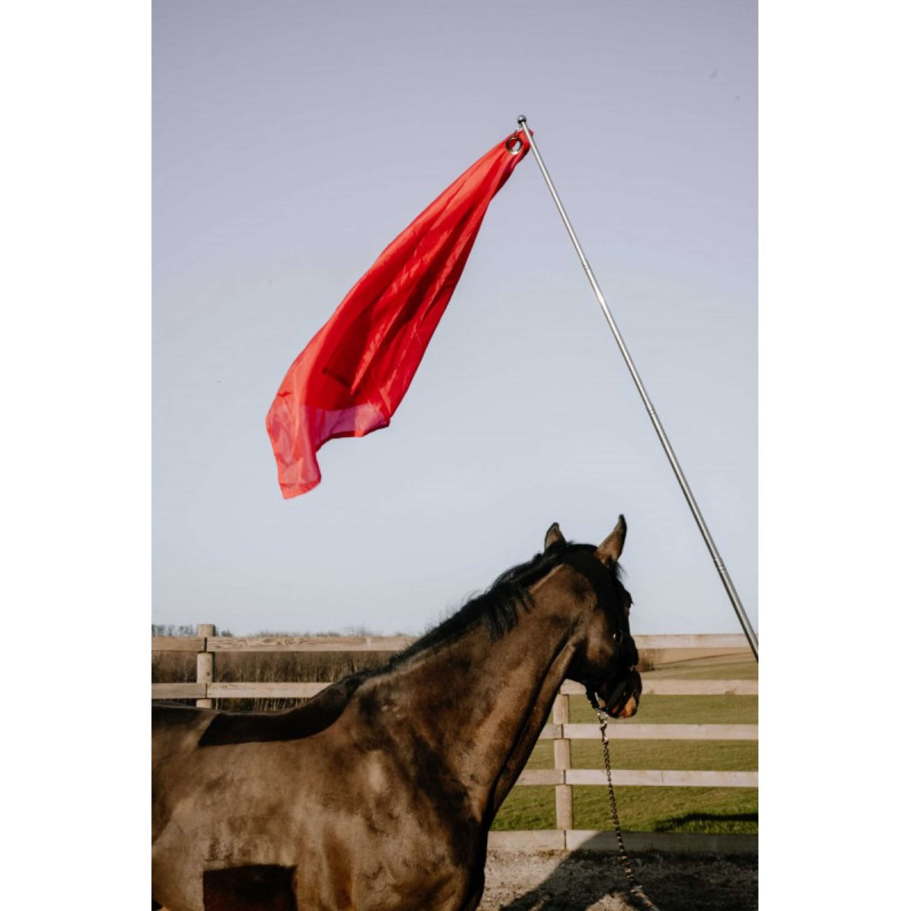 Hippotonic Training stick Ethologisch with Flag Red