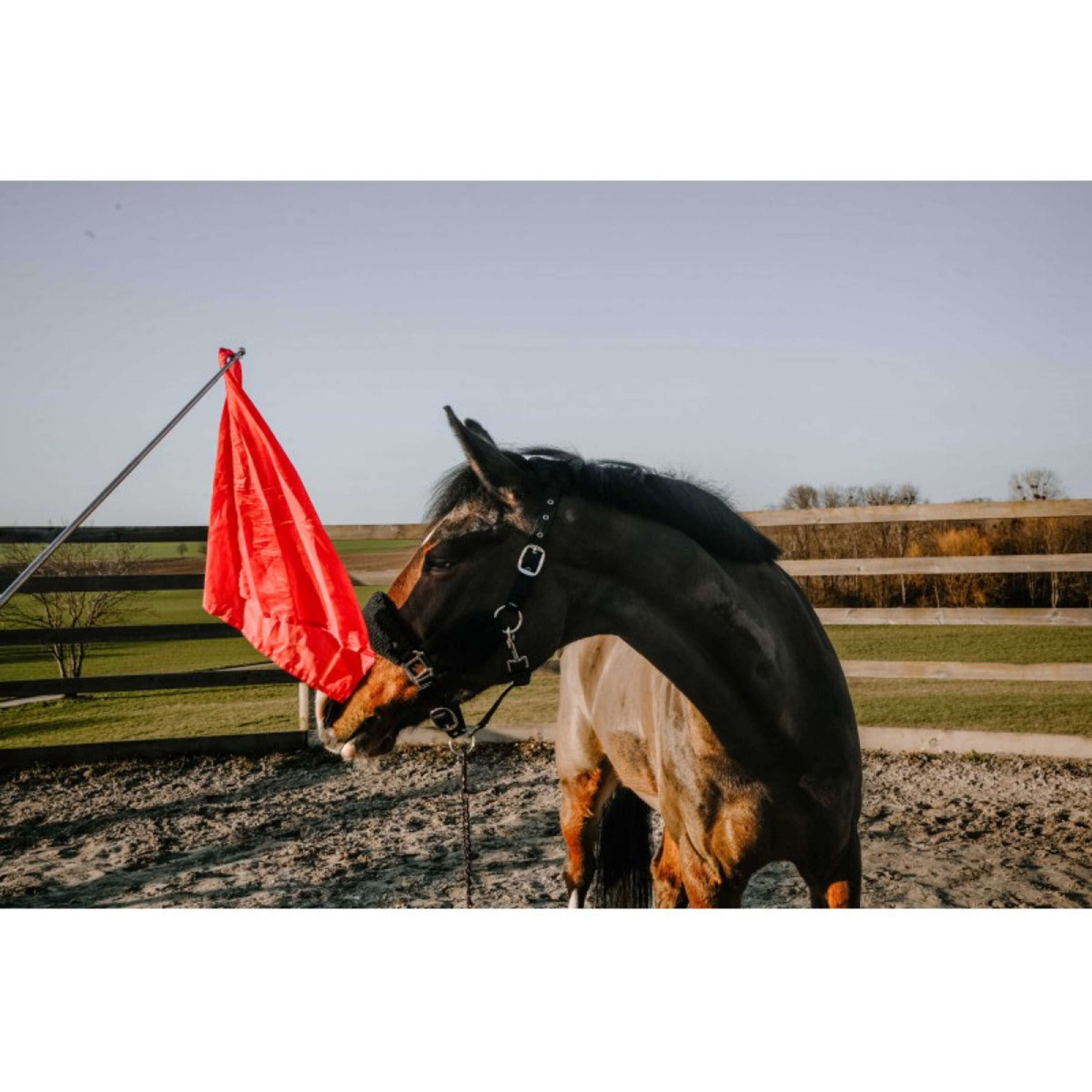 Hippotonic Training stick Ethologisch with Flag Red