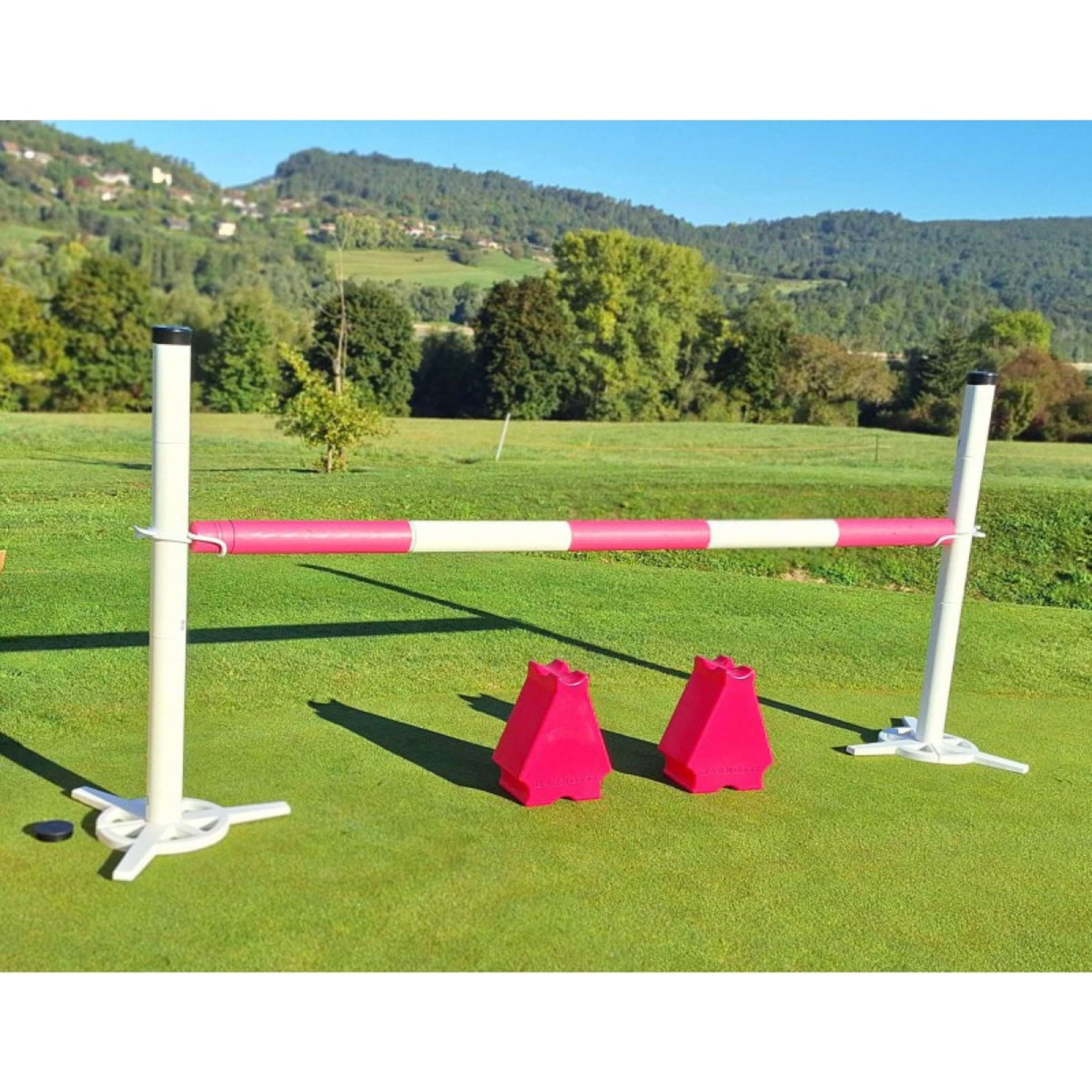 Hippotonic Competition Set with Cavaletti's Pink