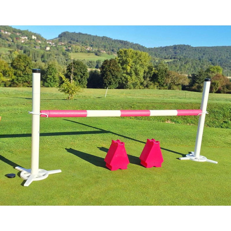 Hippotonic Competition Set with Cavaletti's Pink