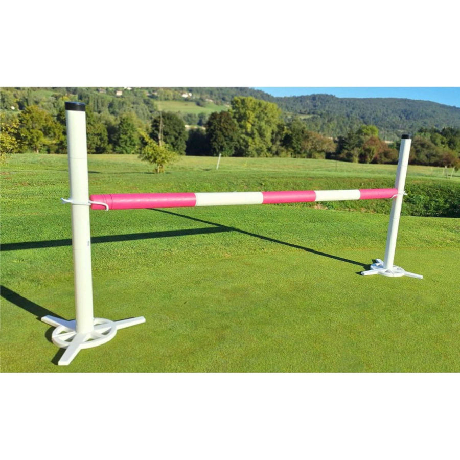 Hippotonic Competition Set with Cavaletti's Pink