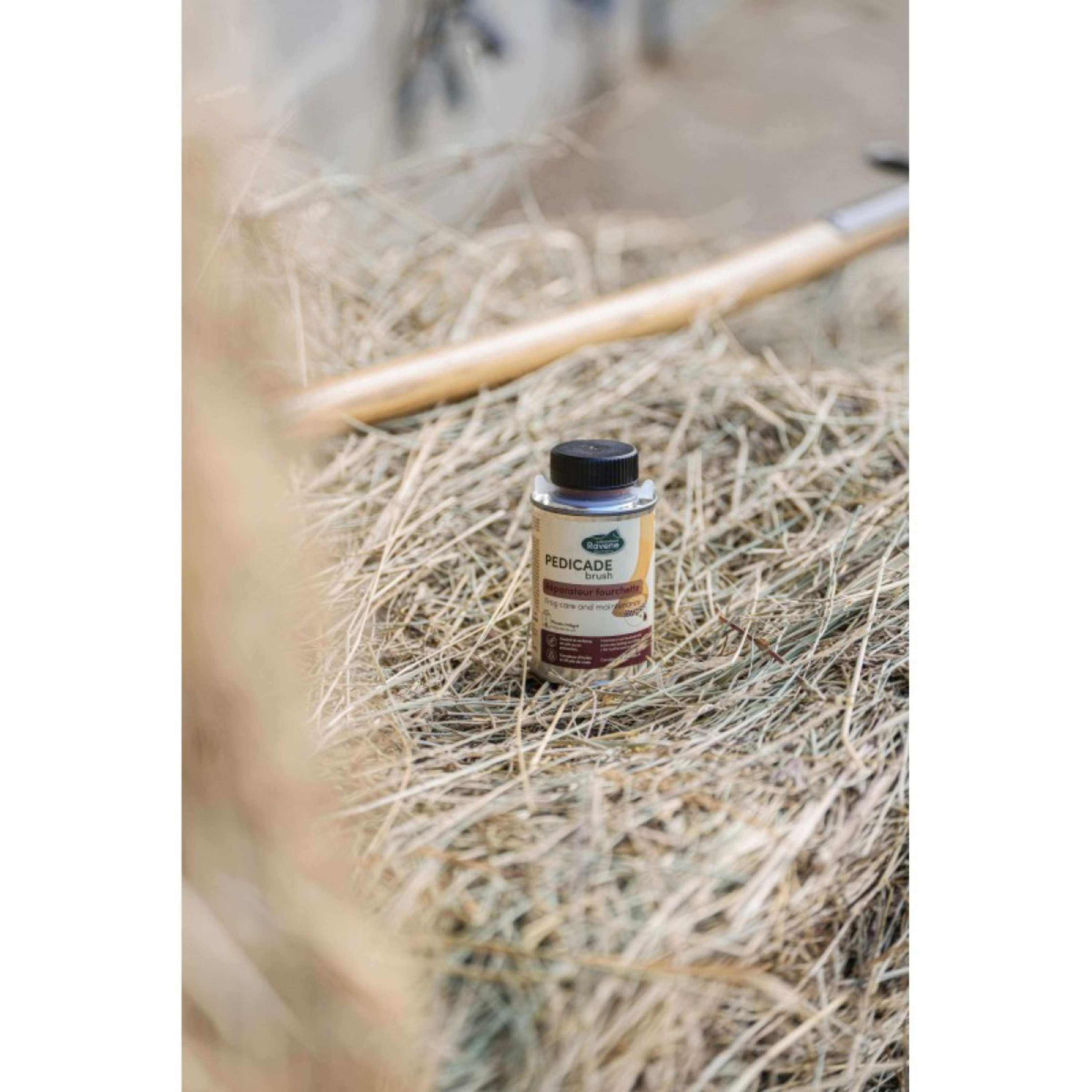 Ravene Pedicade Brush For Horse Hoofs