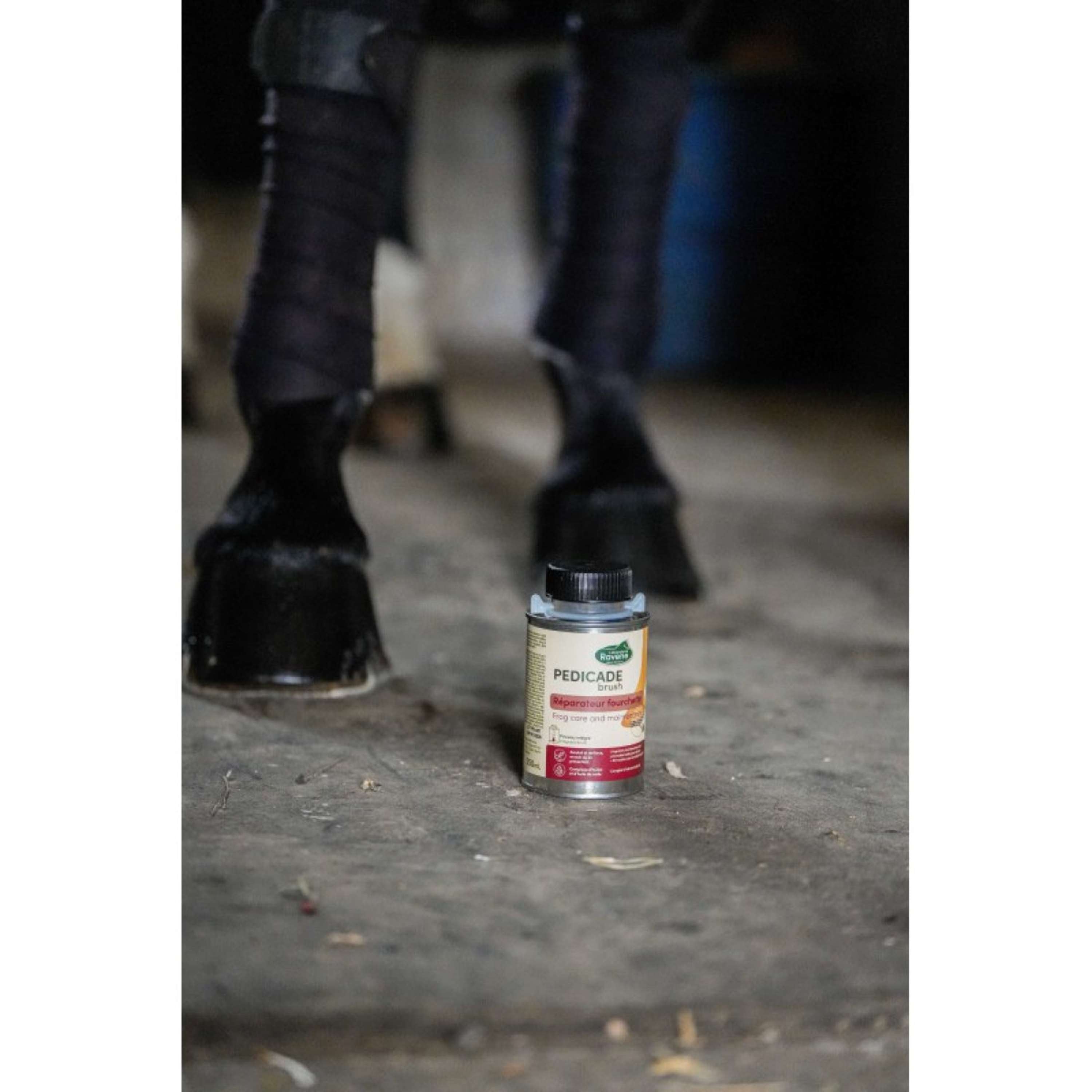Ravene Pedicade Brush For Horse Hoofs