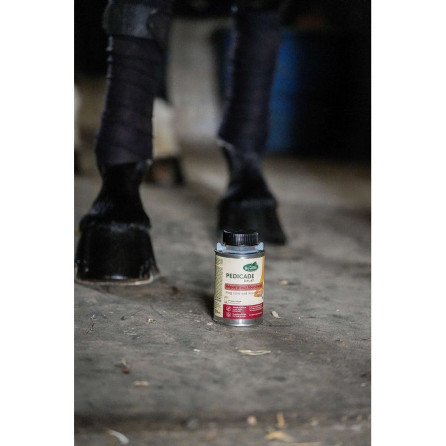 Ravene Pedicade Brush For Horse Hoofs