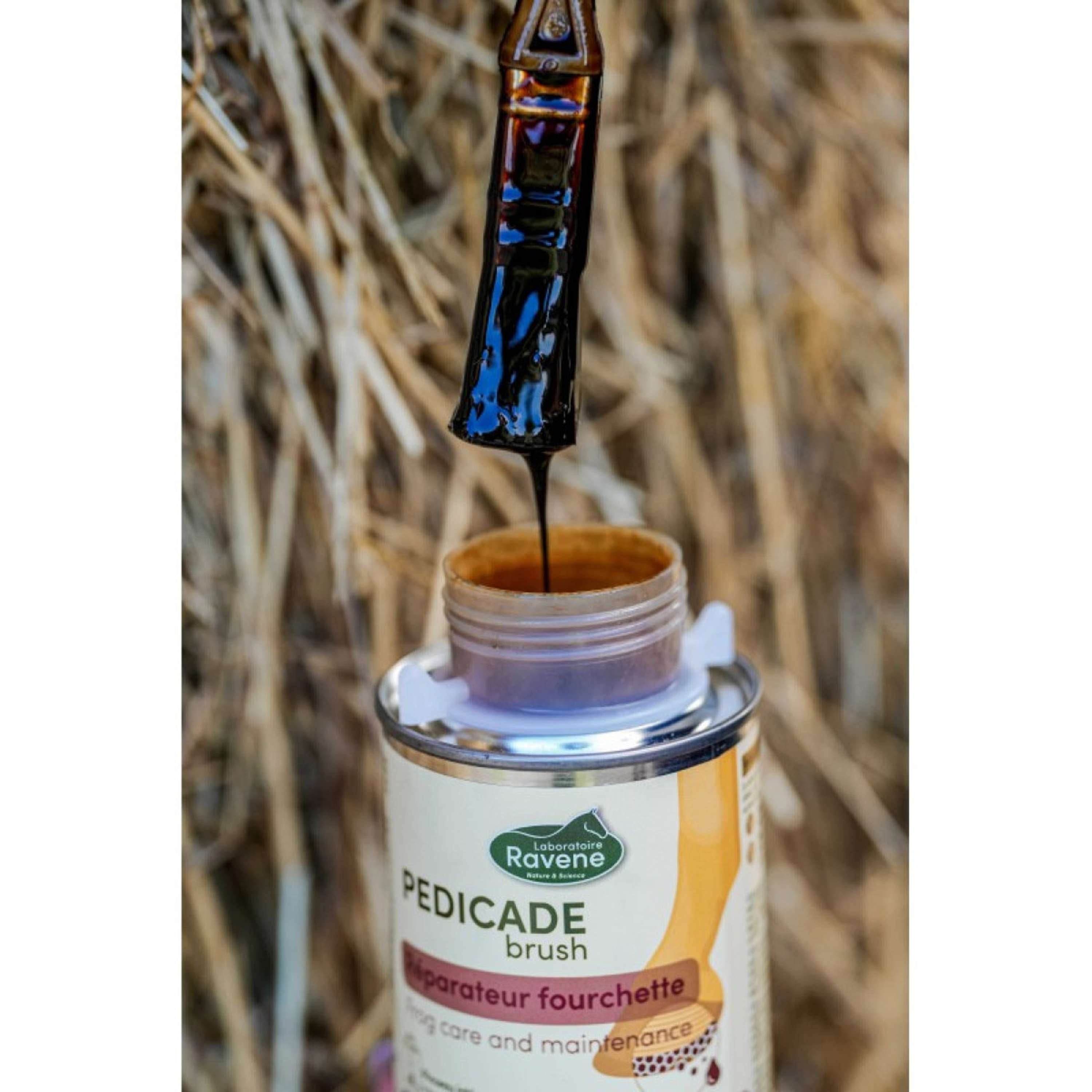 Ravene Pedicade Brush For Horse Hoofs