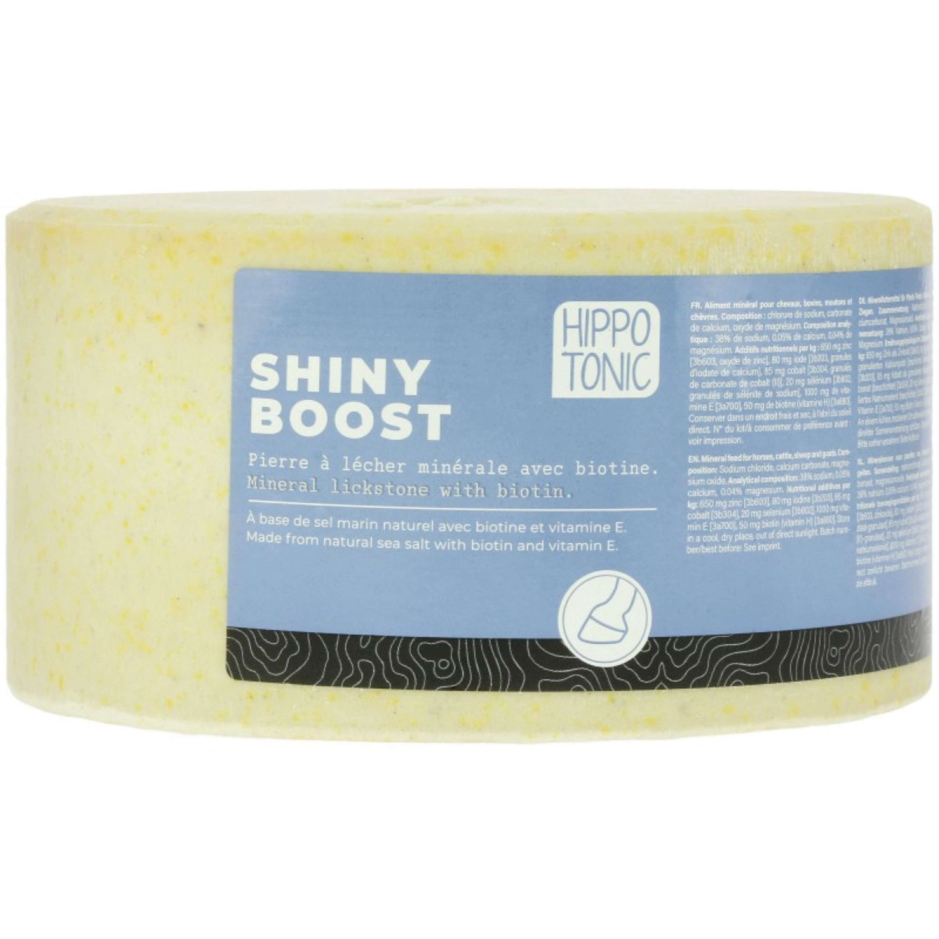 Hippotonic Lick Stone Shiny Boost