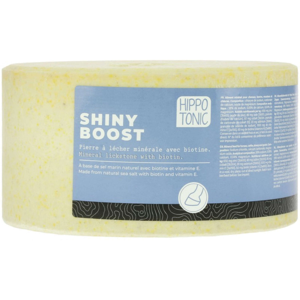 Hippotonic Lick Stone Shiny Boost