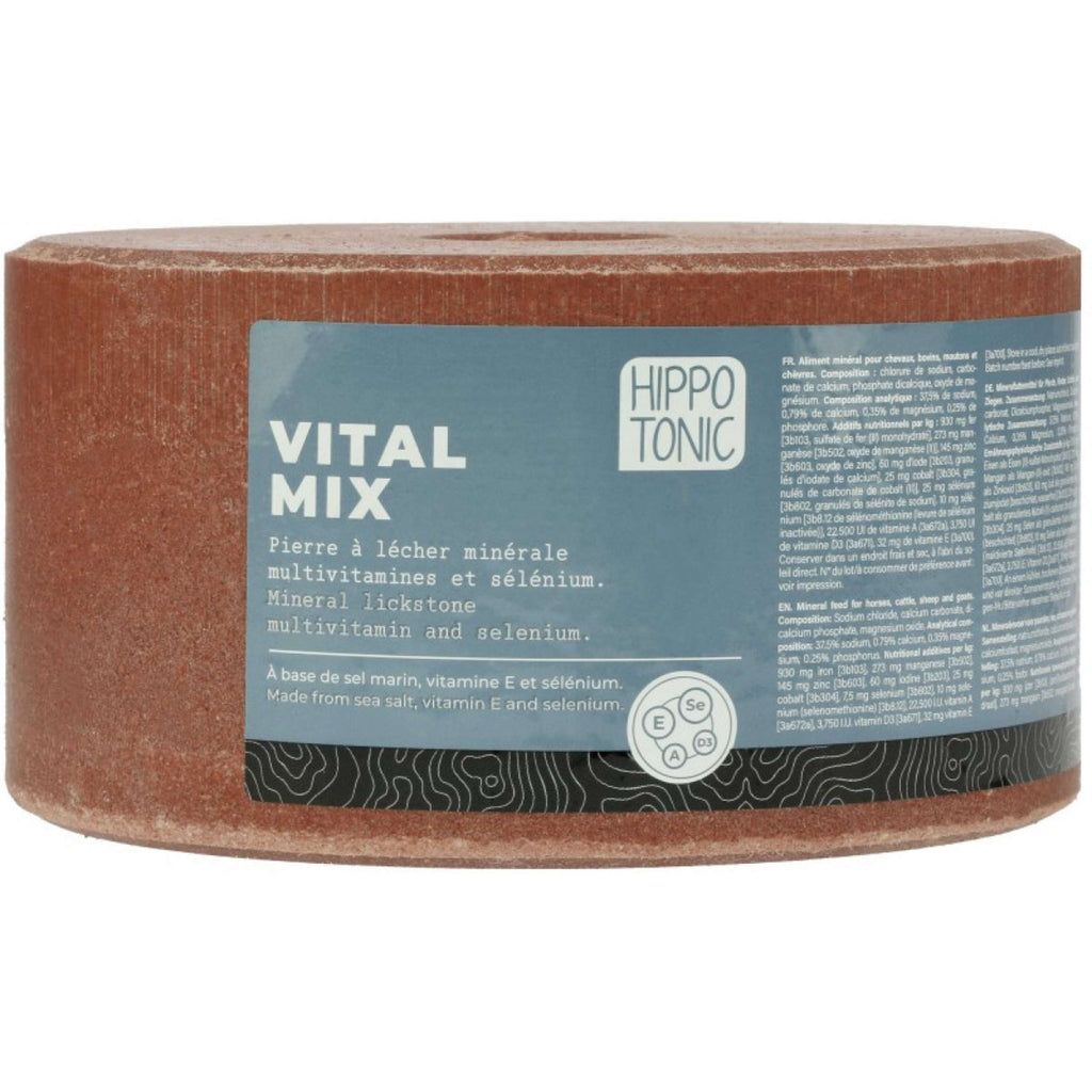 Hippotonic Lick Stone Vitalmix Salt