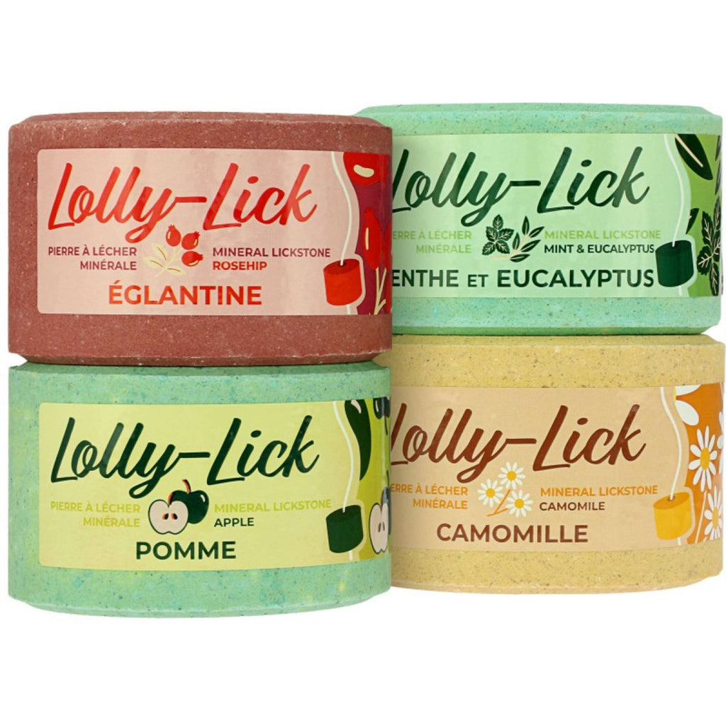 Hippotonic Lolly-Lick Dog rose