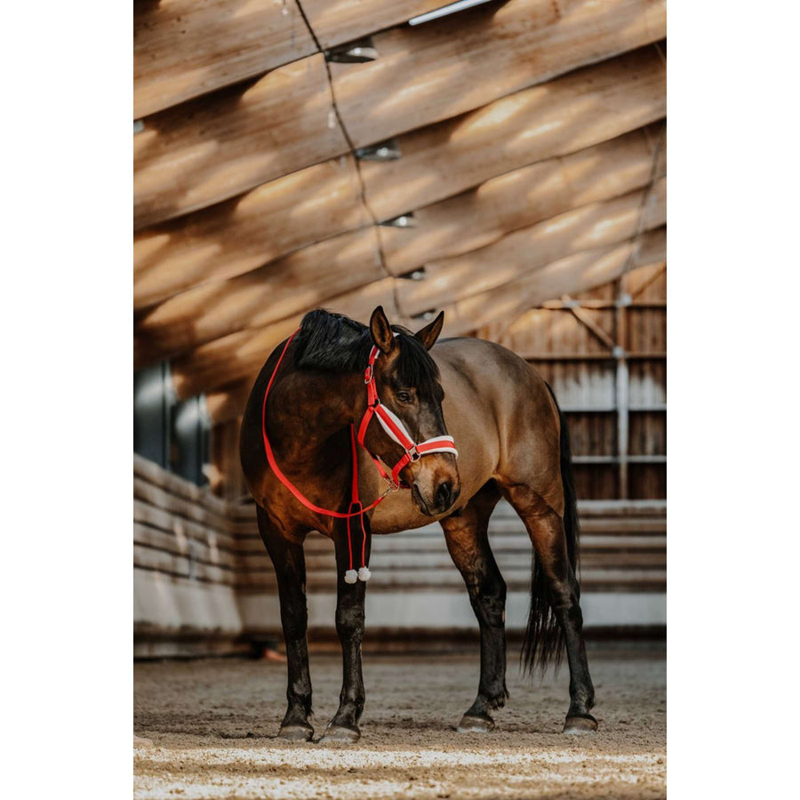 EQUITHÈME Halter Set Christmas Red