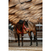 EQUITHÈME Halter Set Christmas Red