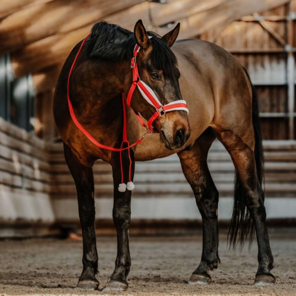 EQUITHÈME Halter Set Christmas Red