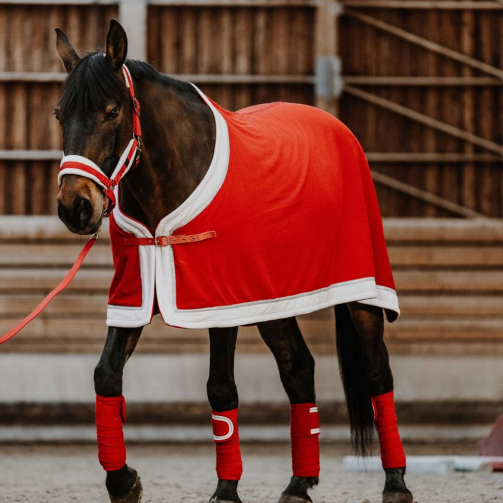 EQUITHÈME Halter Set Christmas Red